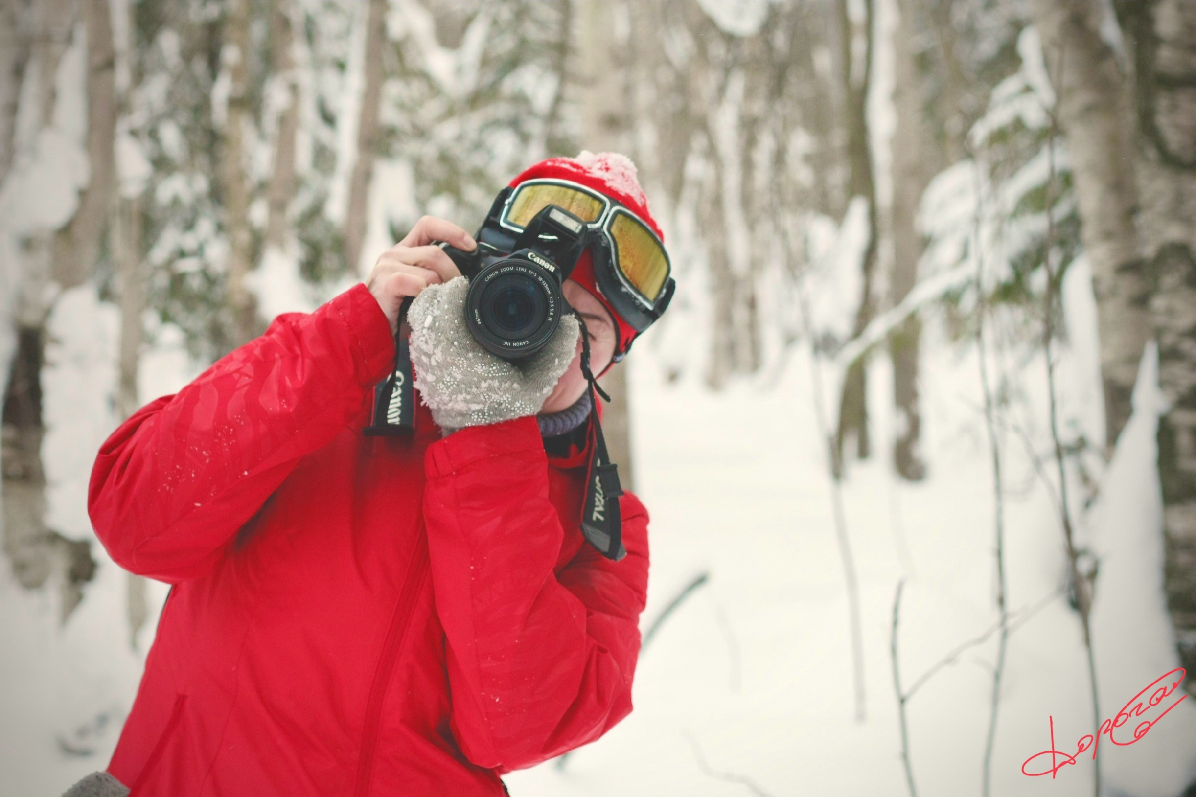 Фотограф Серега Дорога