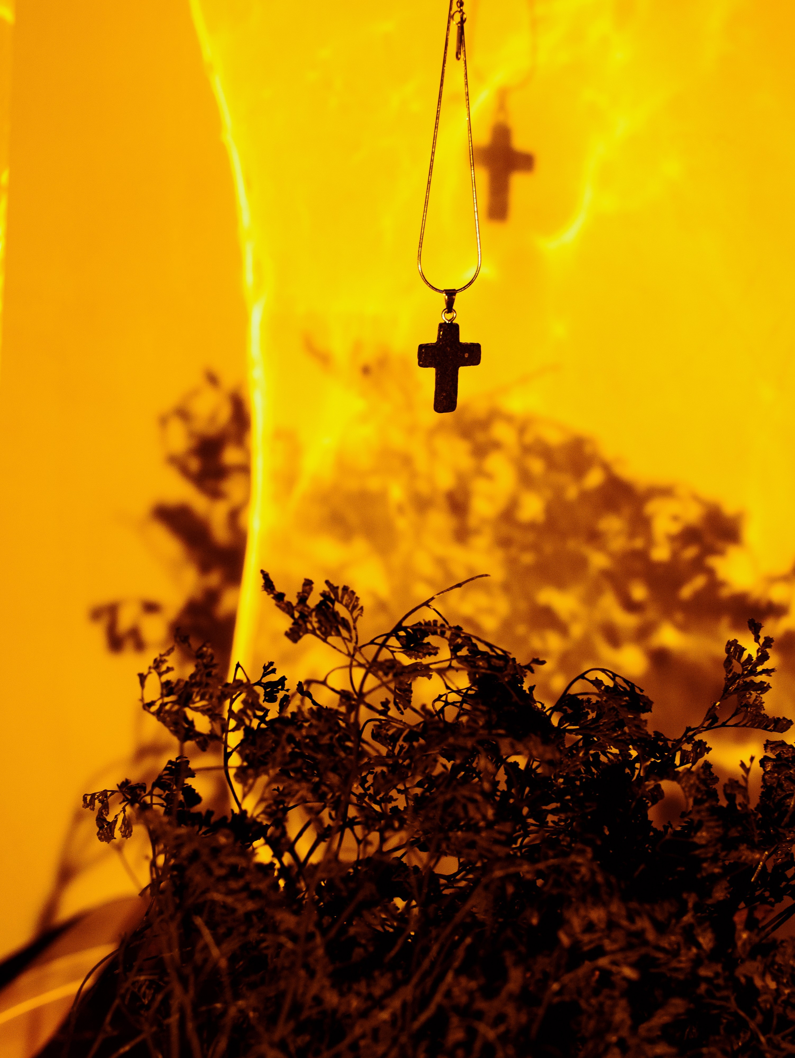 КЕЙСЫ. Фотограф Мария Немм