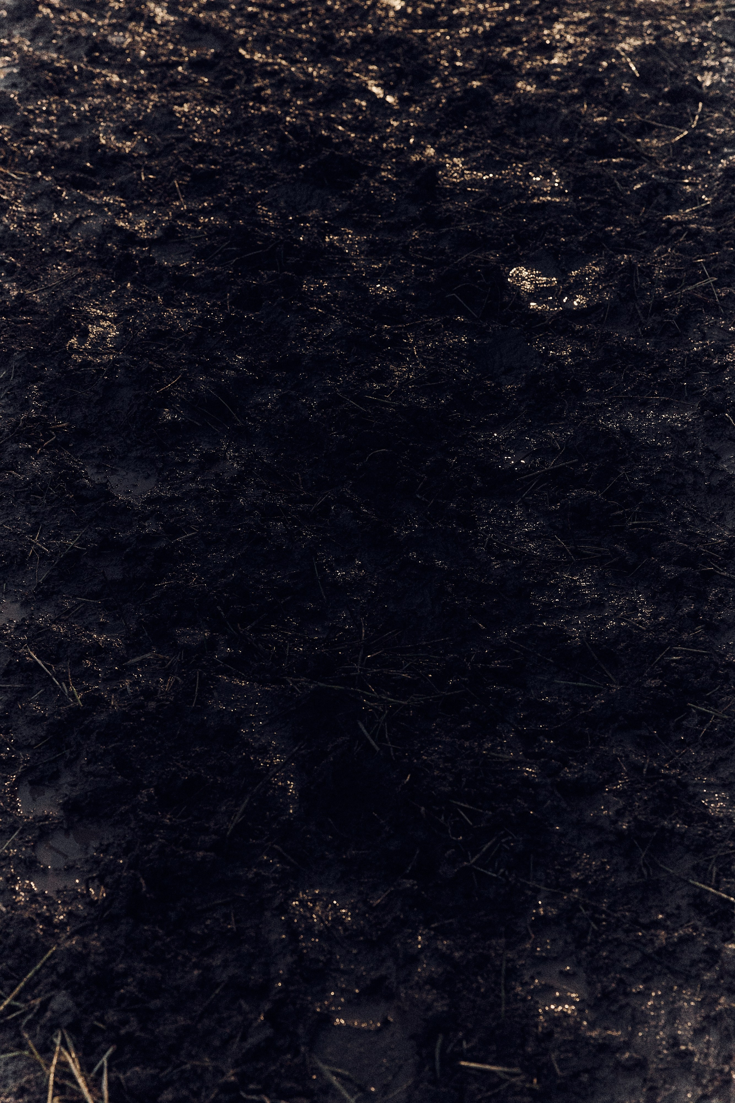 Виолетта и Александр. Свадебный и семейный фотограф в Иваново и Москве Мильков Вадим