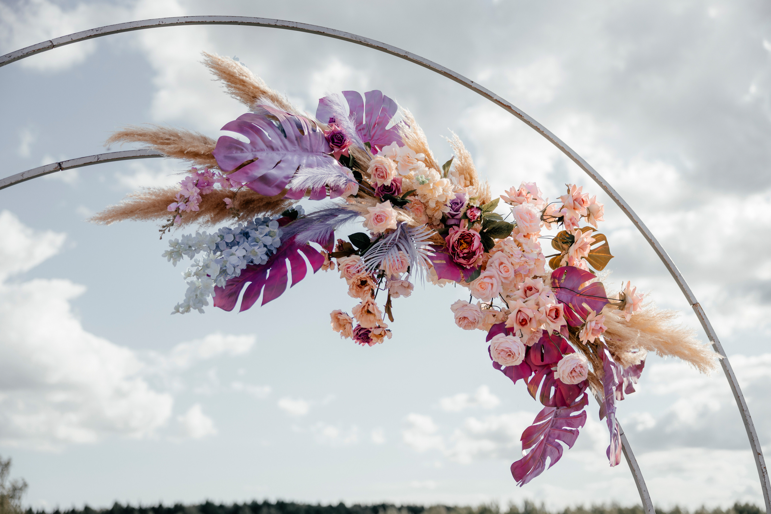 Анна и Алексей