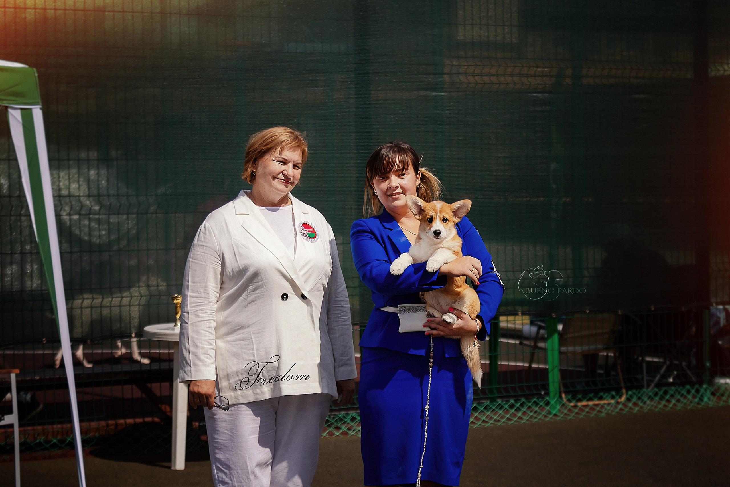 Собаки питомника Bueno Pardo. Питомник собак Акита, Хаски, Корги