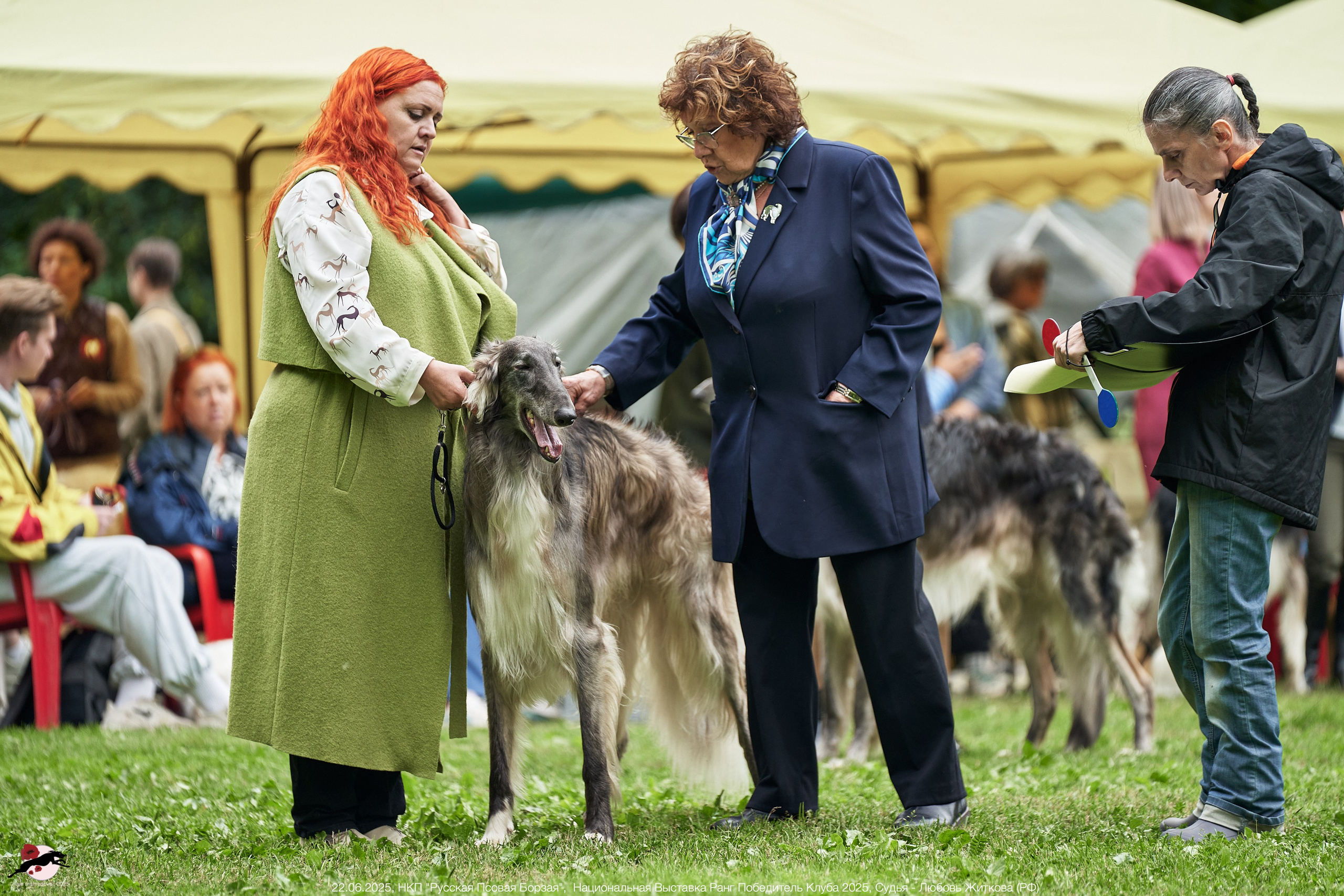 22.06.2025 | Национальная Выставка НКП "Русская Псовая Борзая"