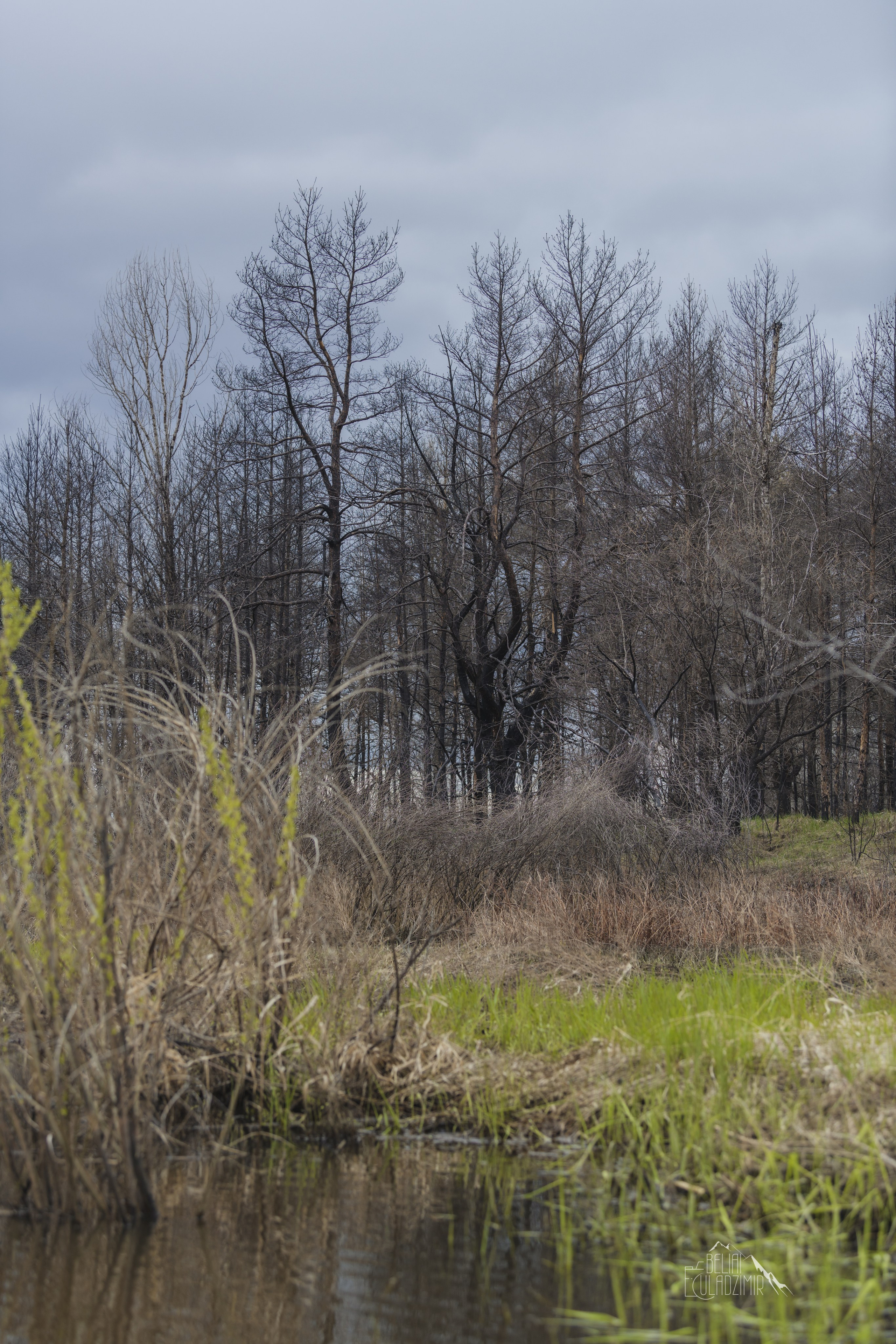 Сплав по реке Тремля 11 апреля 2026 года. Репортажный фотограф Владимир Беляй