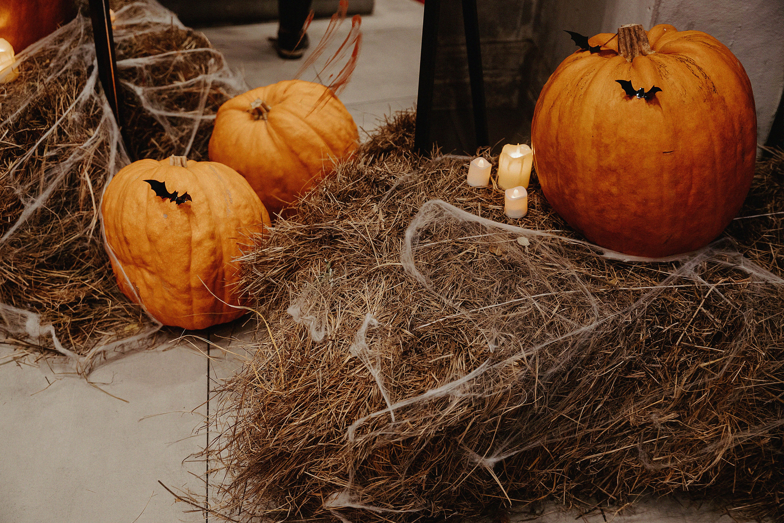Halloween party by KiingSarah. Свадебный, семейный и портретный фотограф в Алматы, Костанай