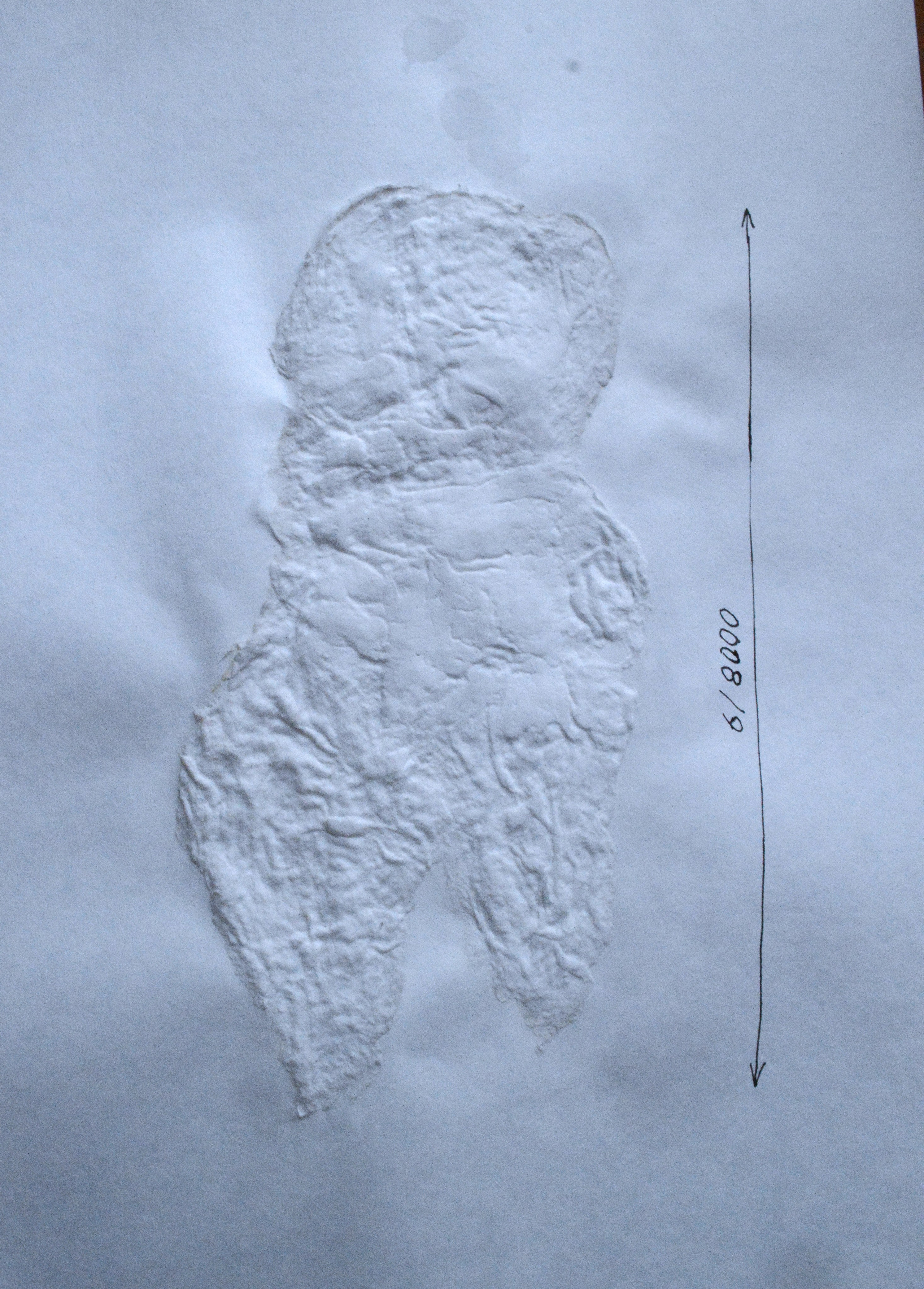 8000. 2025. Лилия Ким. Междисциплинарный художник