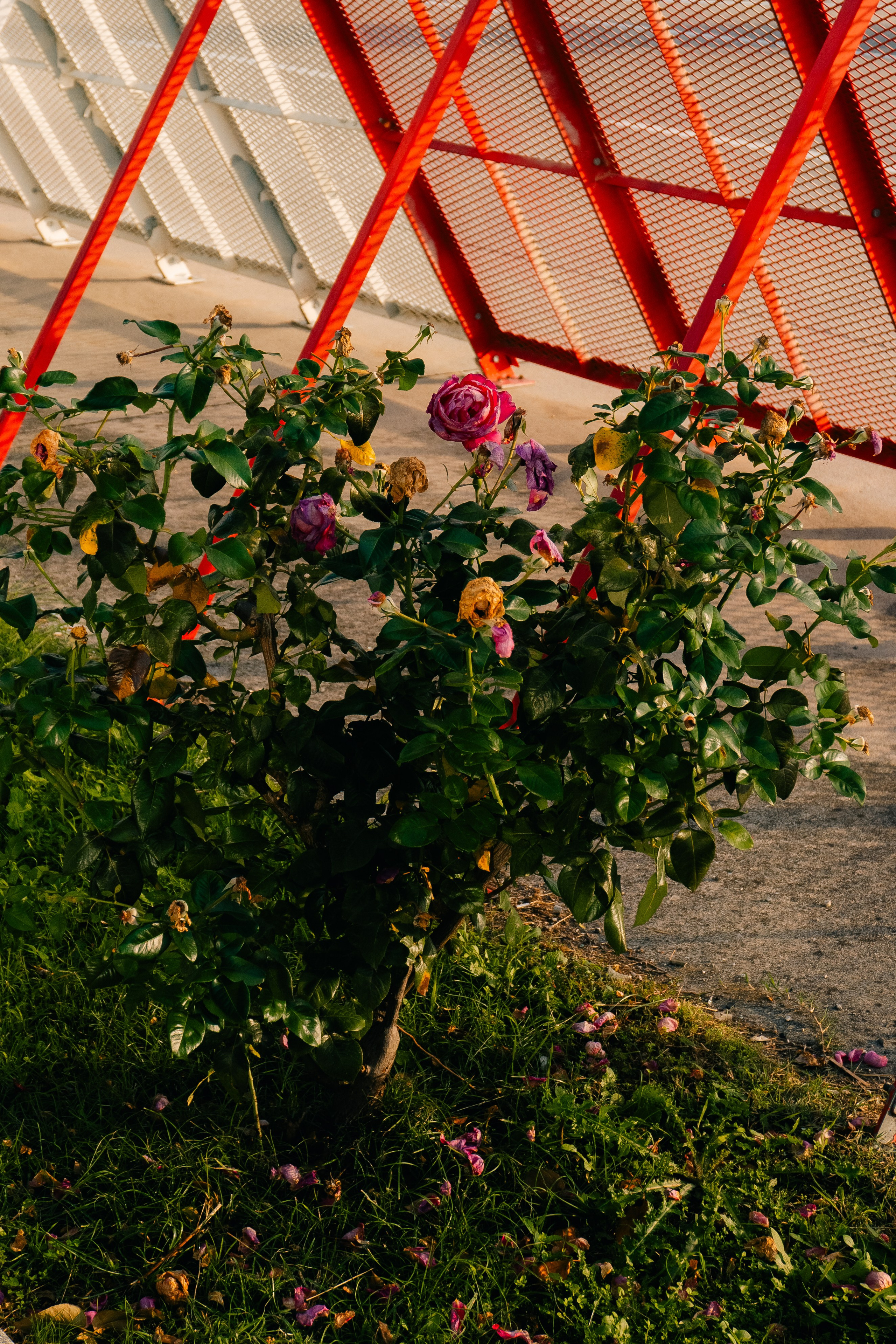 Черногория. Фотограф в Москве и МО Влада Обласова