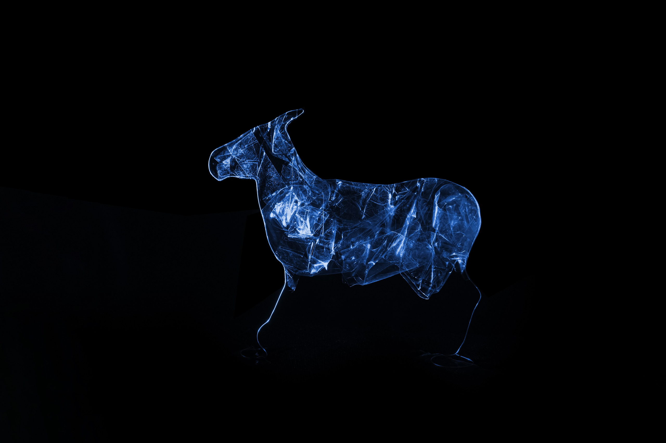 Сирийский кулан - 1927.