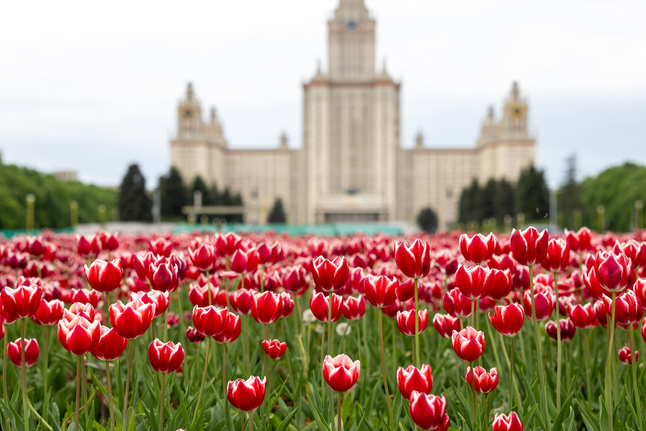 Фокус внимания. Главная