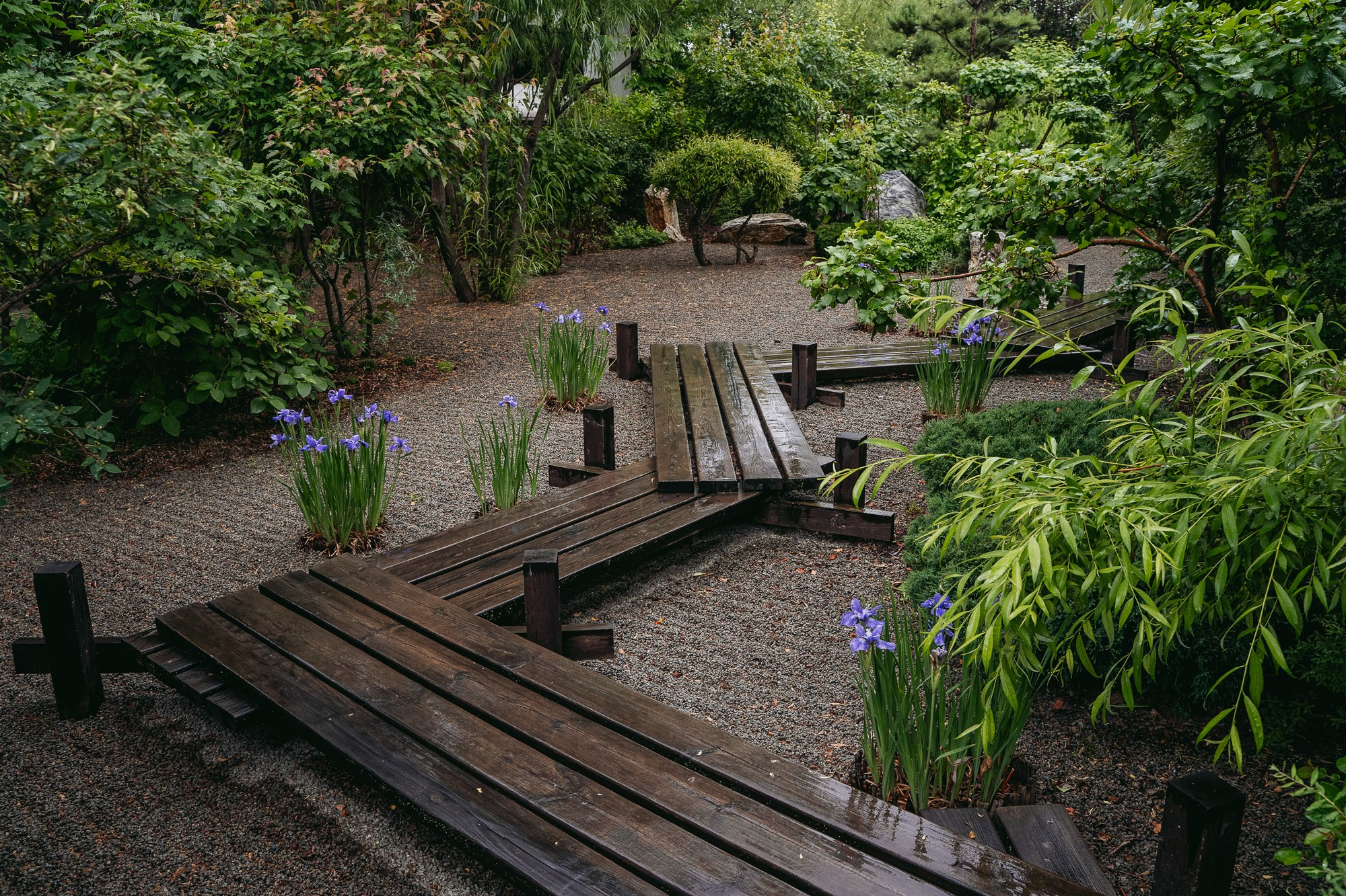 Японский сад в дождь. Яна Жуковская, фотограф Тюмень