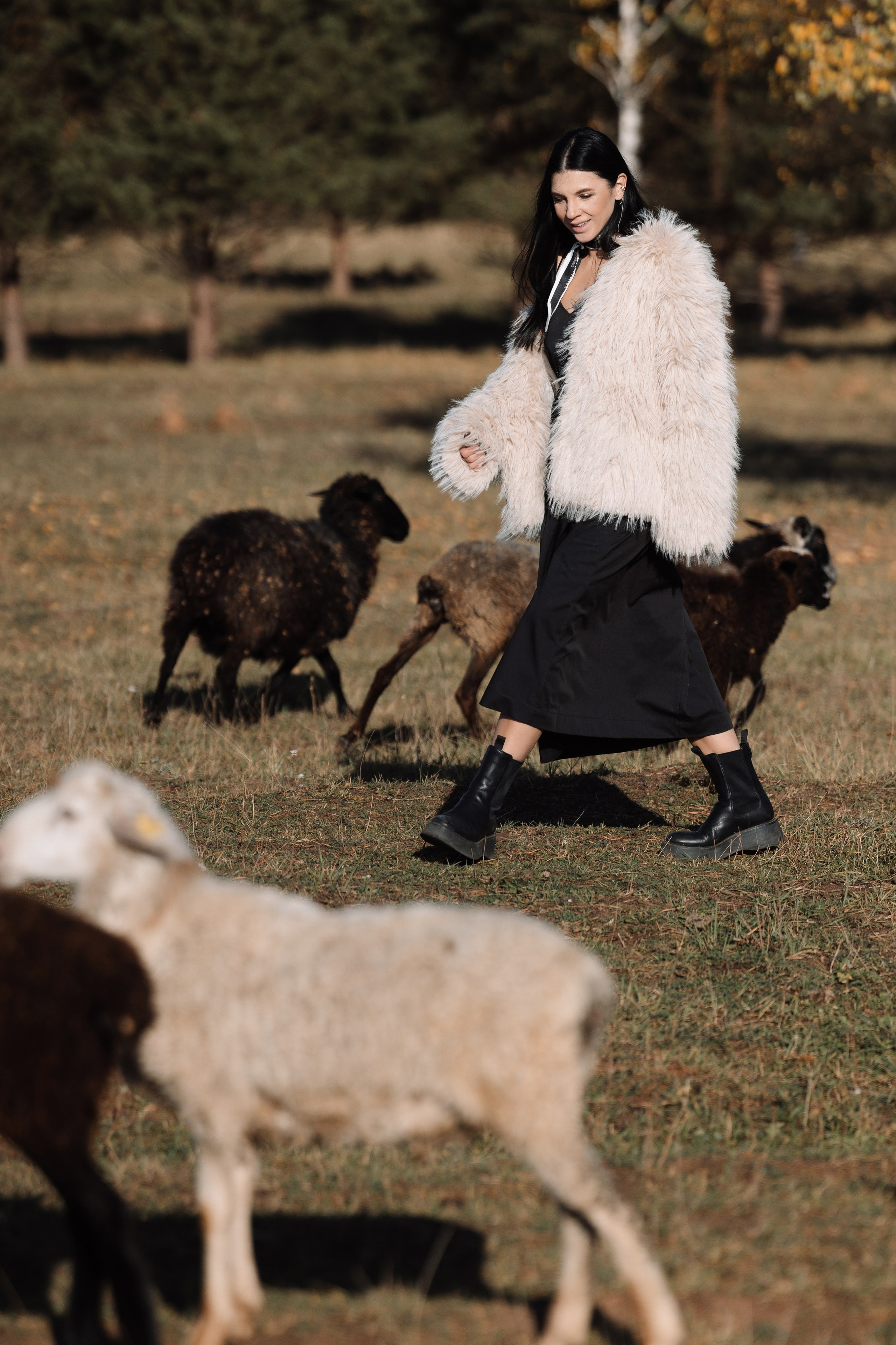 Охота на овец