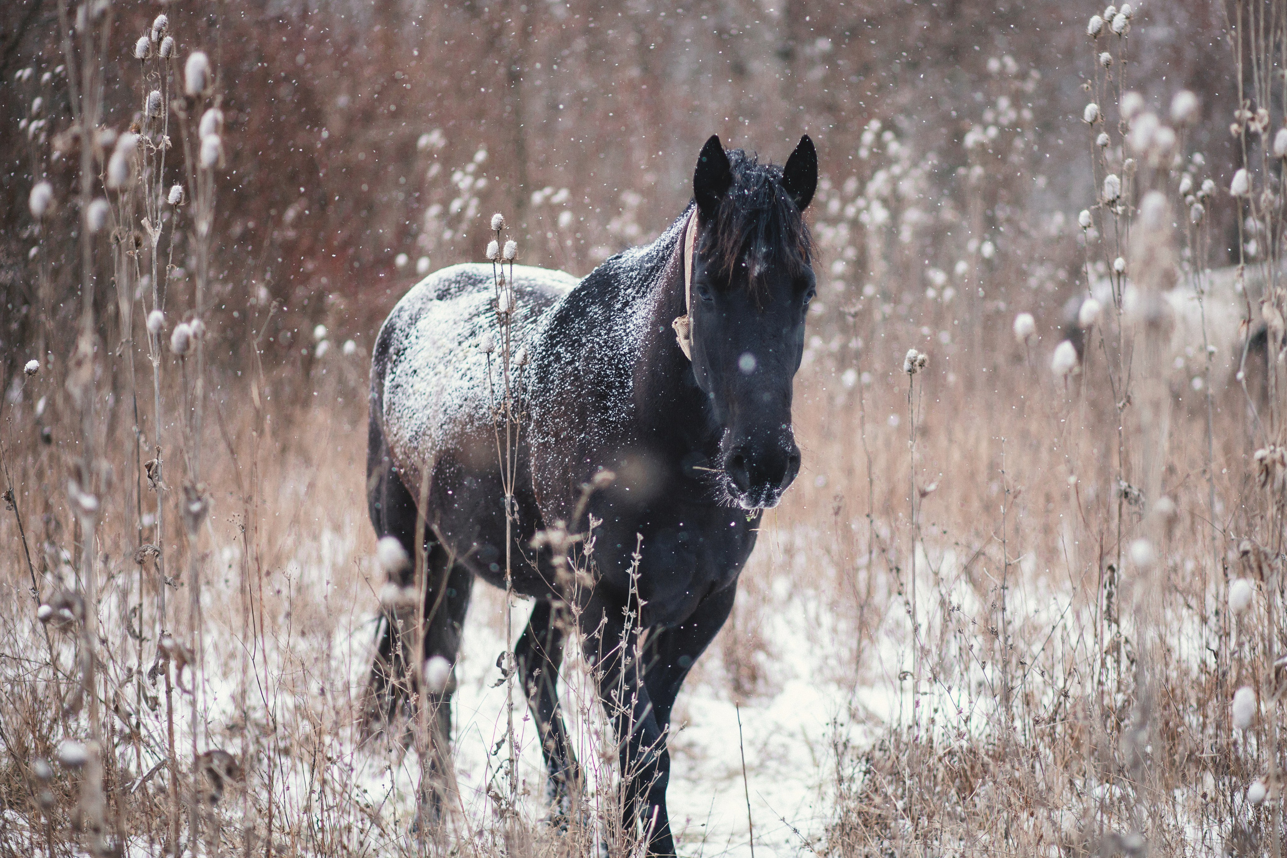 Улицы Люди на улицах Природа Животные — фотограф Оля Волчкова