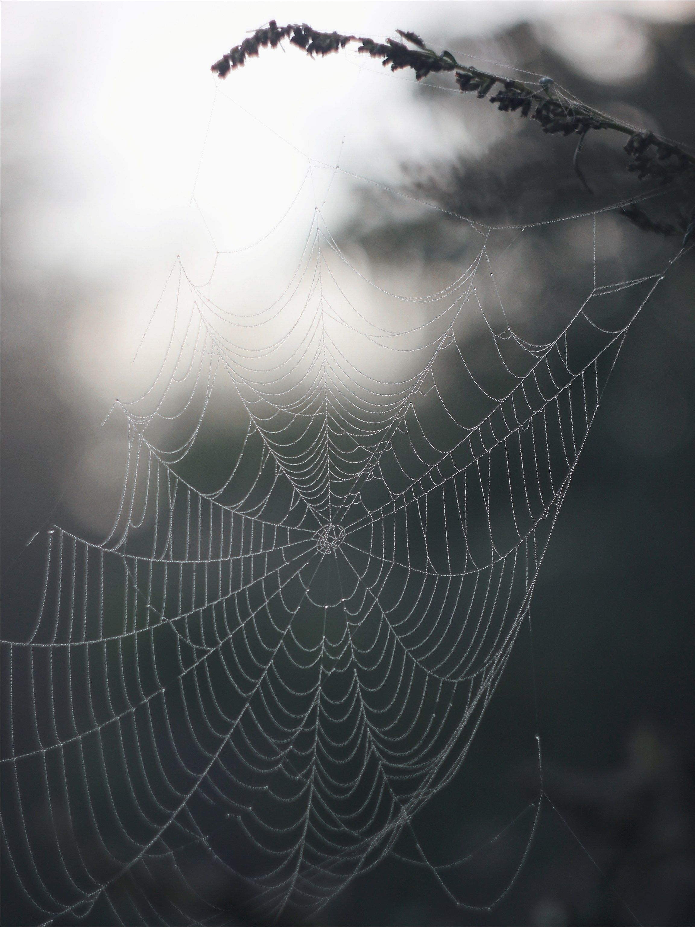 Опустошенность. С любовью, фотохудожник