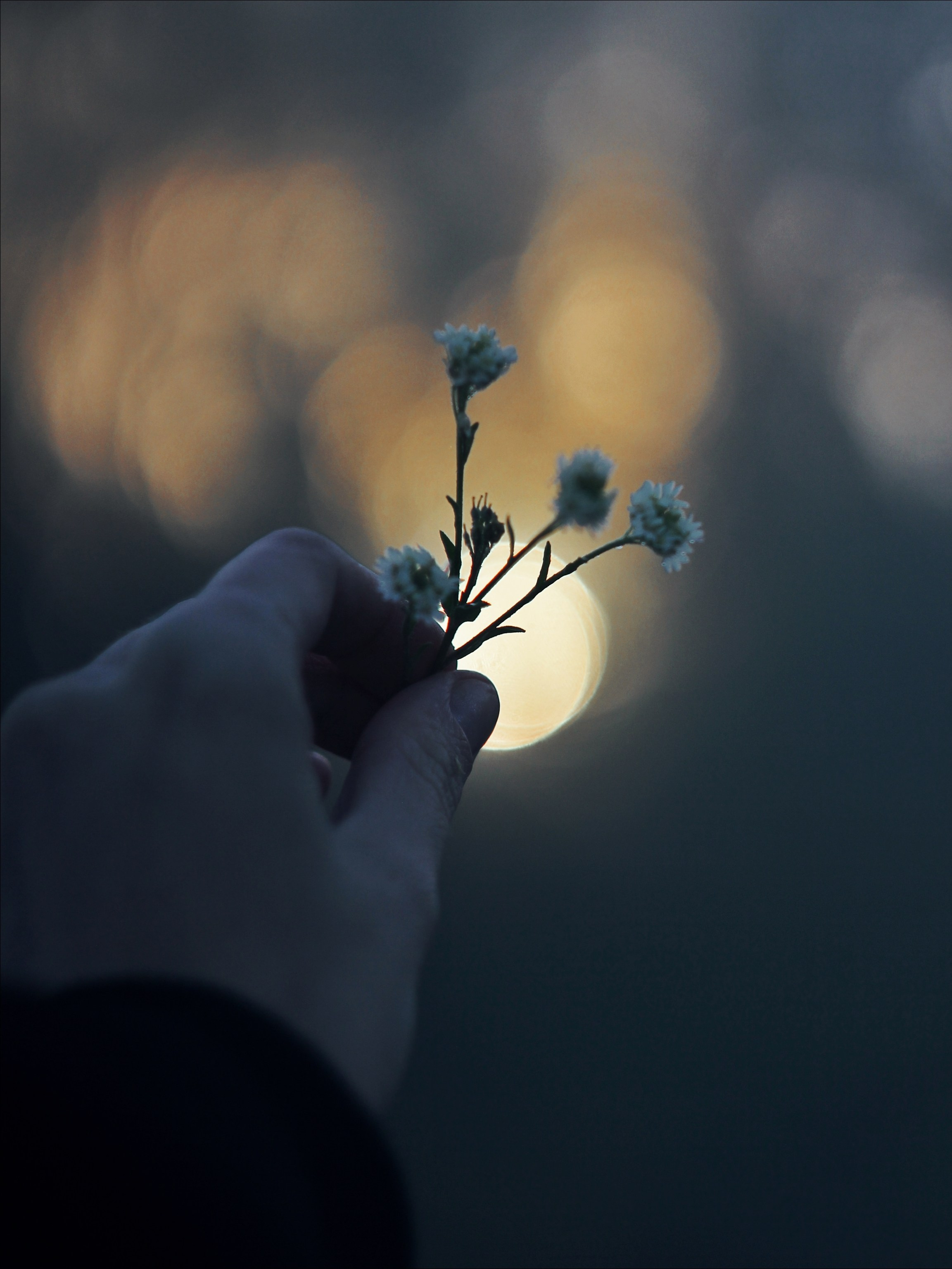 Опустошенность. С любовью, фотохудожник