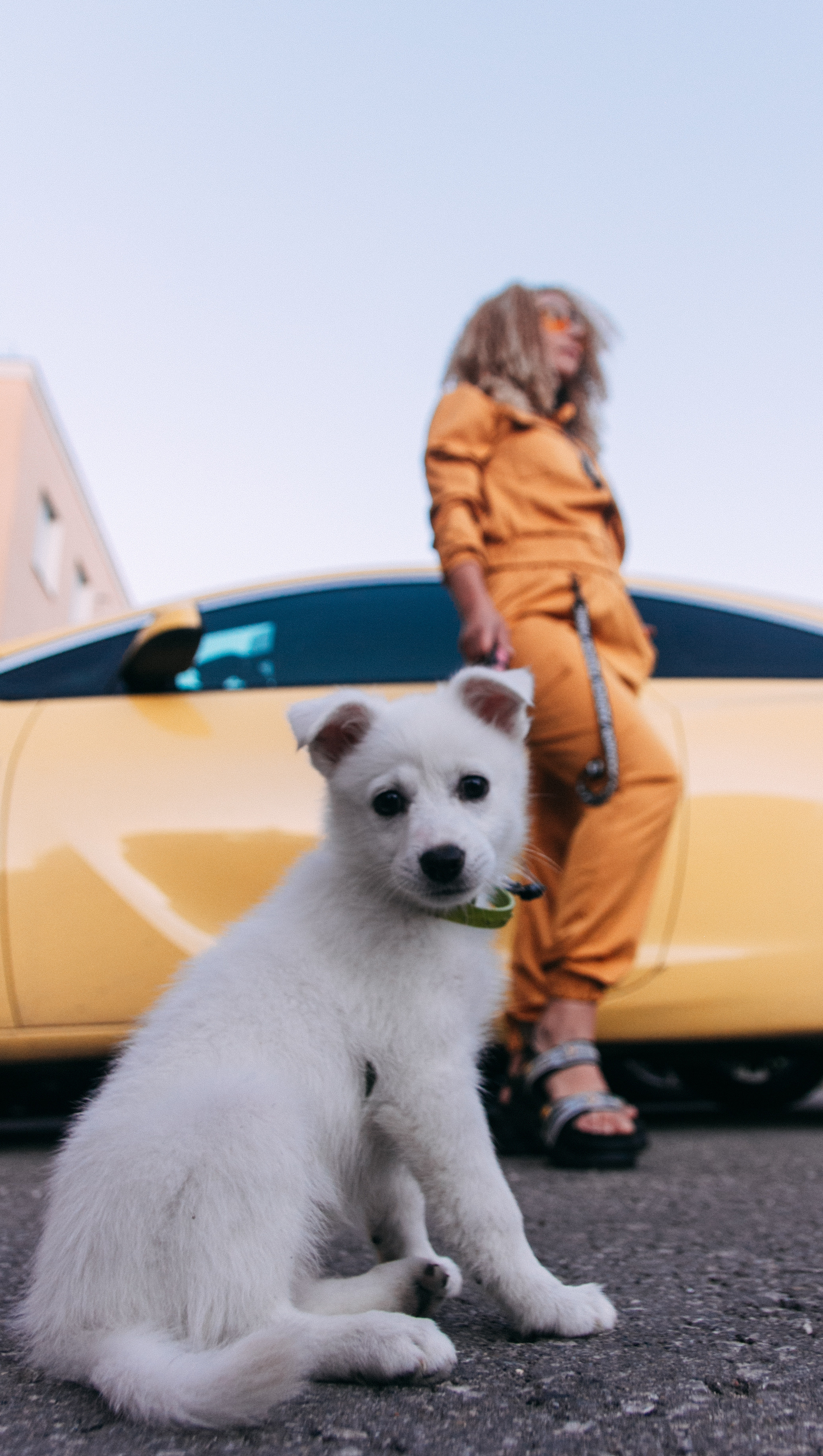 Портрет. Фото | Видео Контент Мишель Ватаманюк