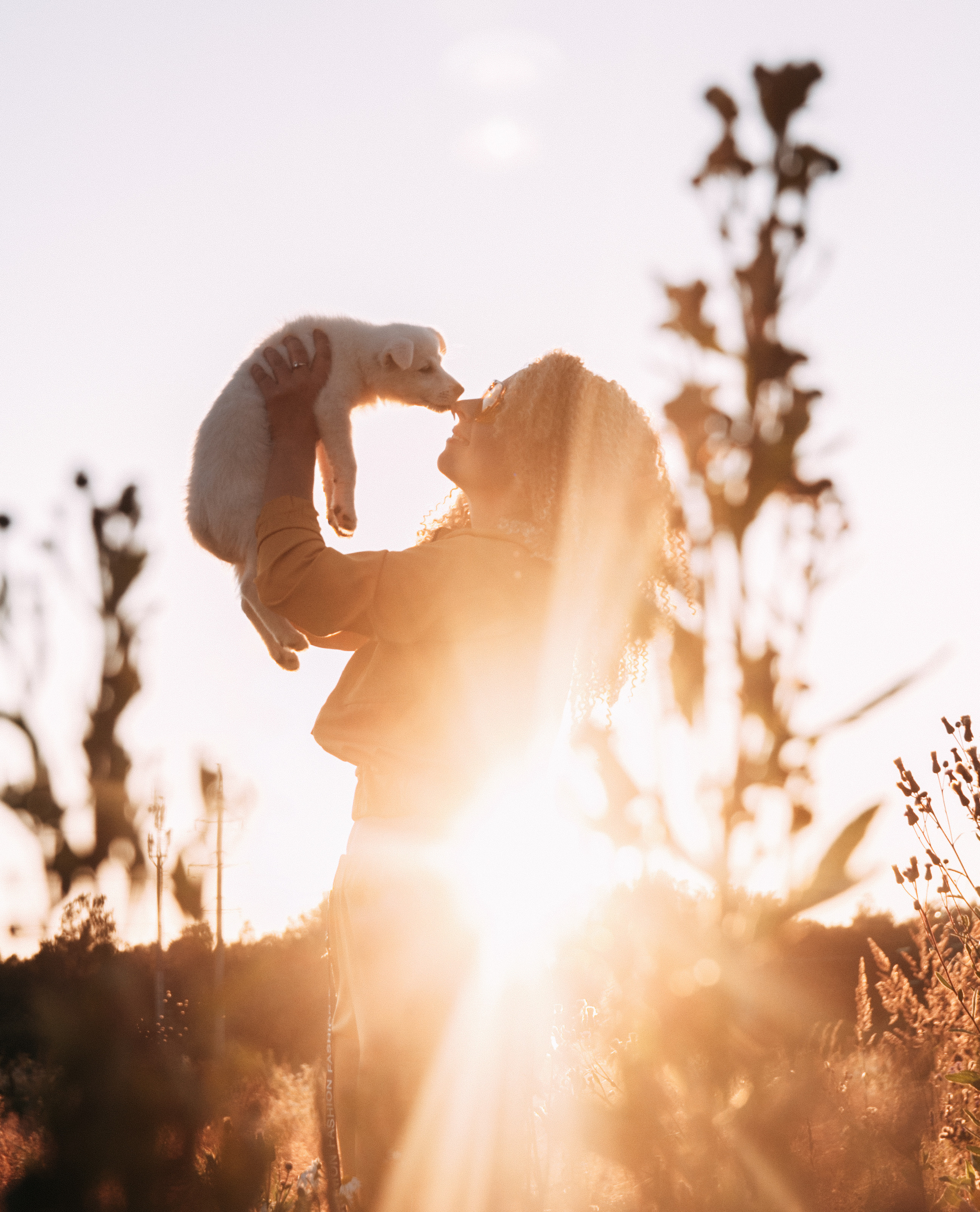 Портрет. Фото | Видео Контент Мишель Ватаманюк
