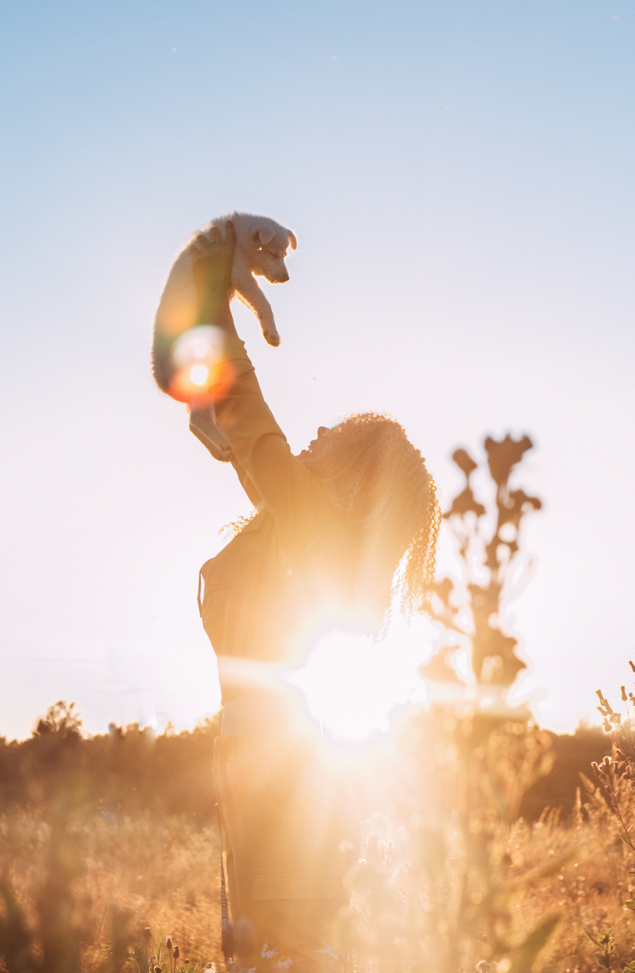 Портрет. Фото | Видео Контент Мишель Ватаманюк