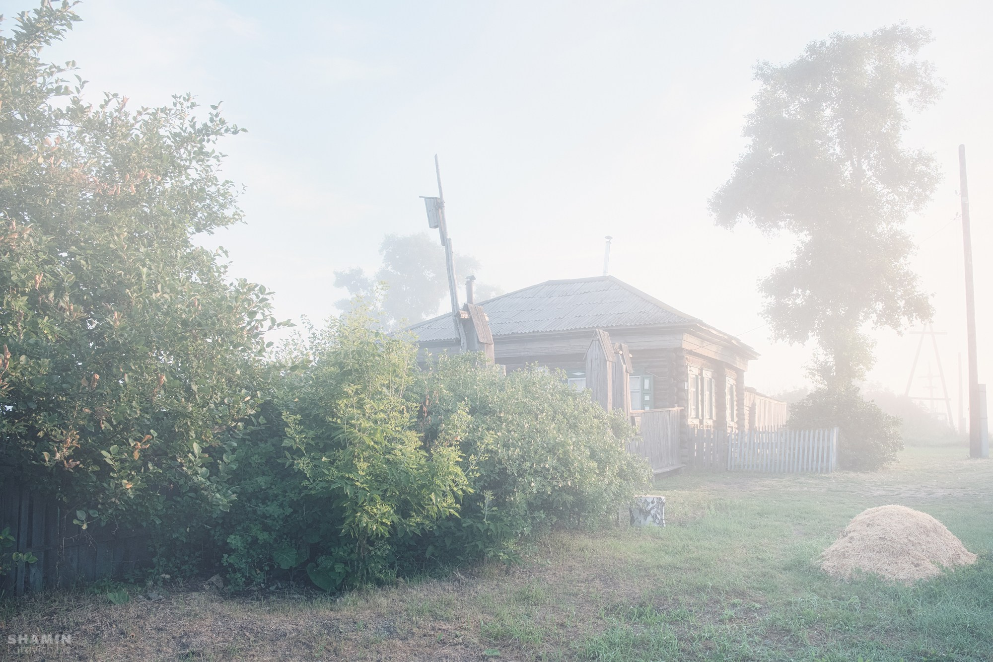 Проект 365. Фотограф Константин Шамин