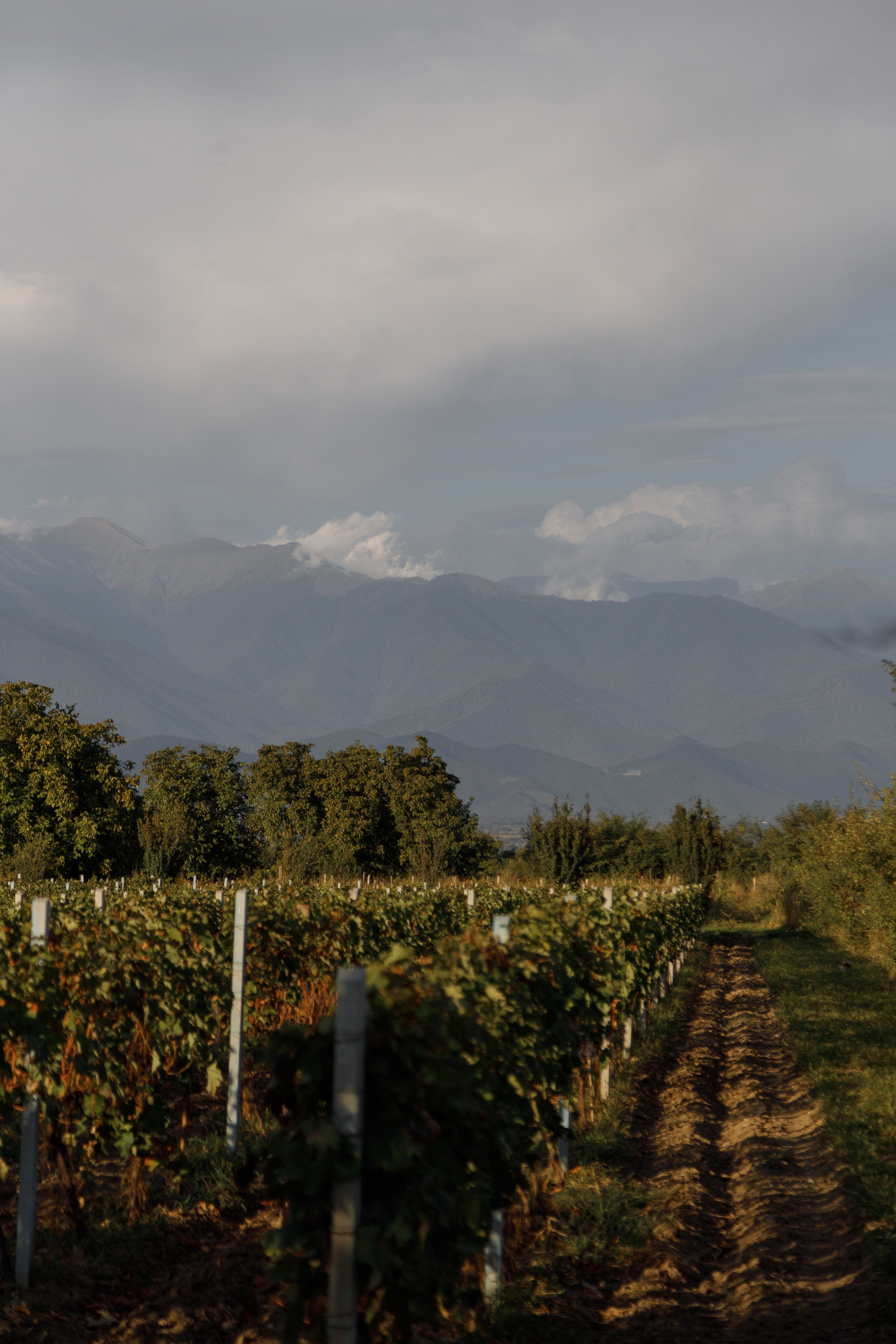 Интересные места Кахетии