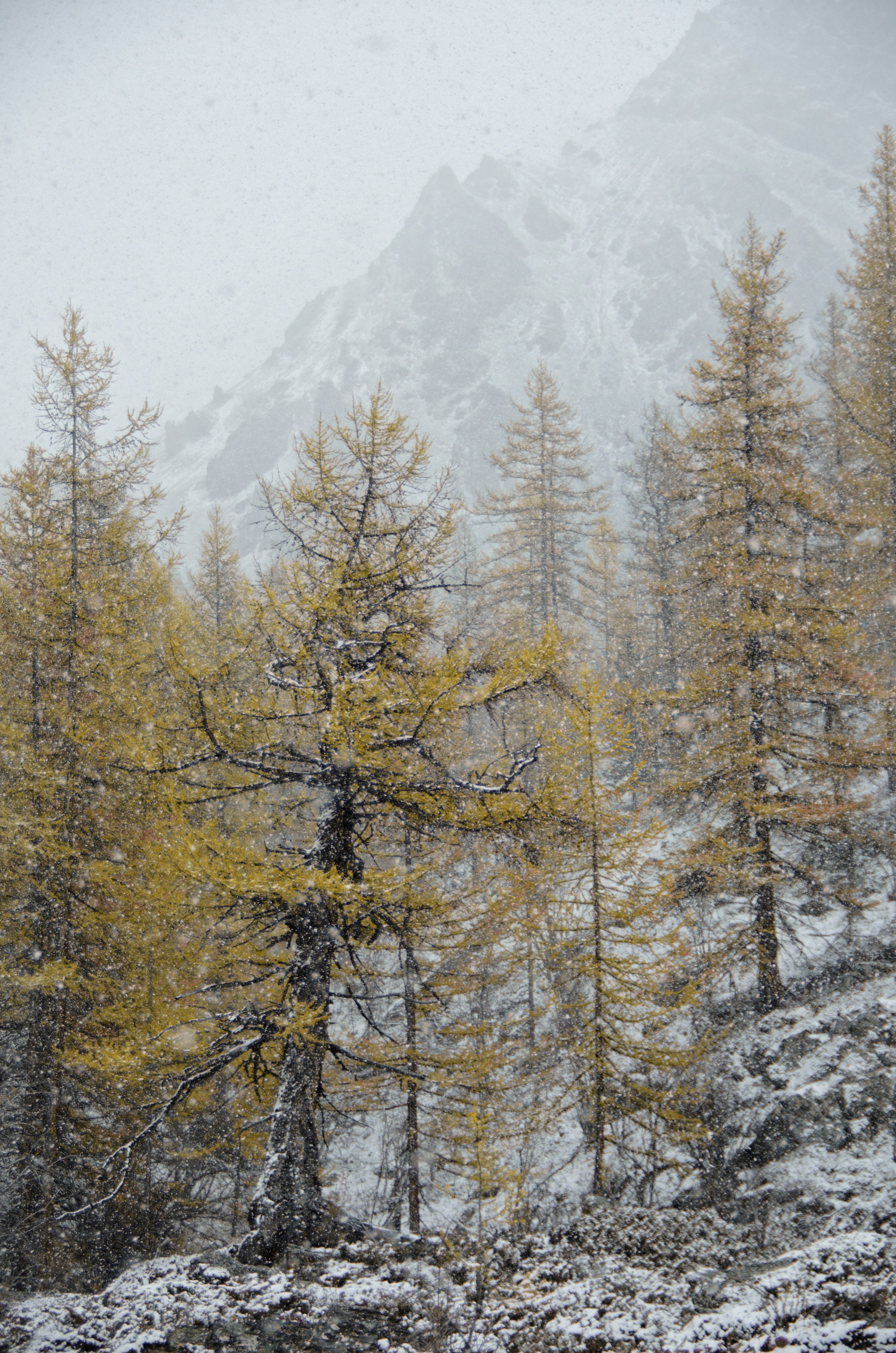 Это не фотошоп. Я видел это в горах Алтая. Семоха Валерий. Фотограф