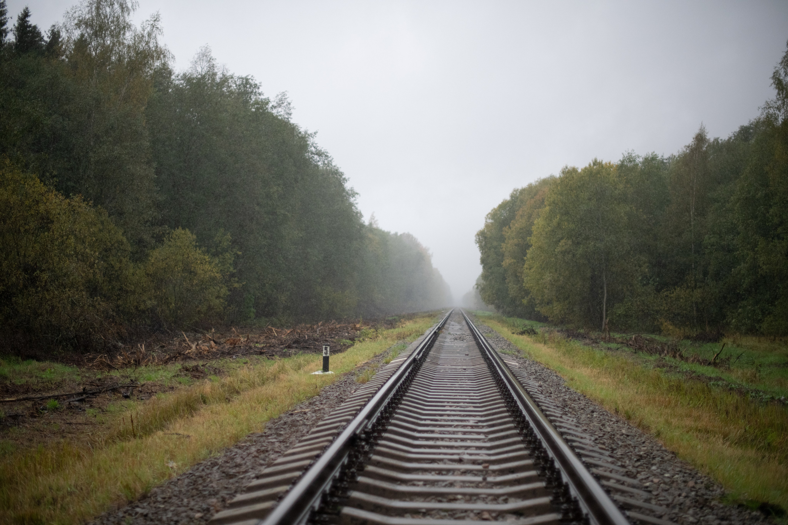 Кино. Фотограф Светлана Амирханова