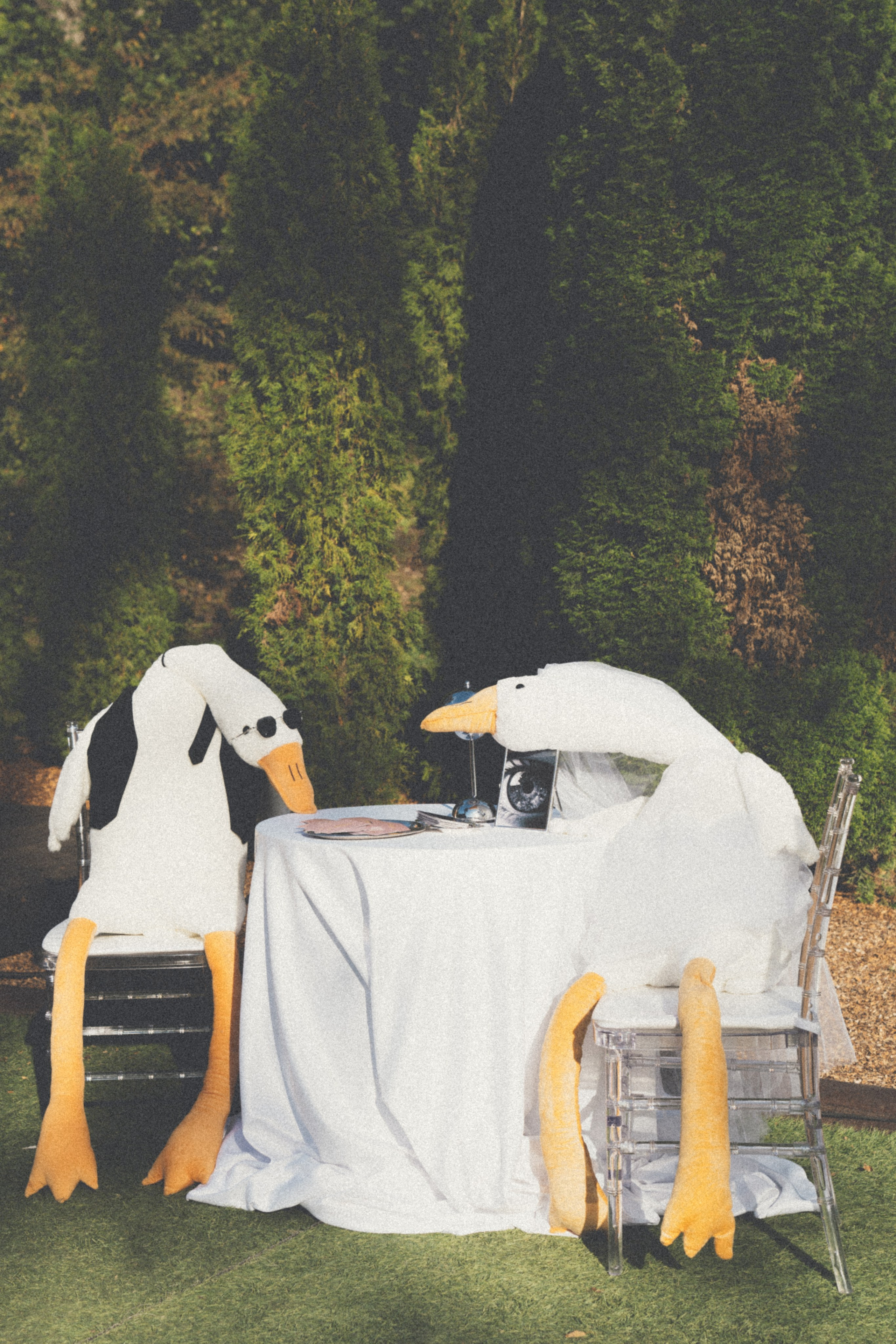 Витя и Соня. Организация свадеб и других мероприятий во Владивостоке от «Рядом быть»