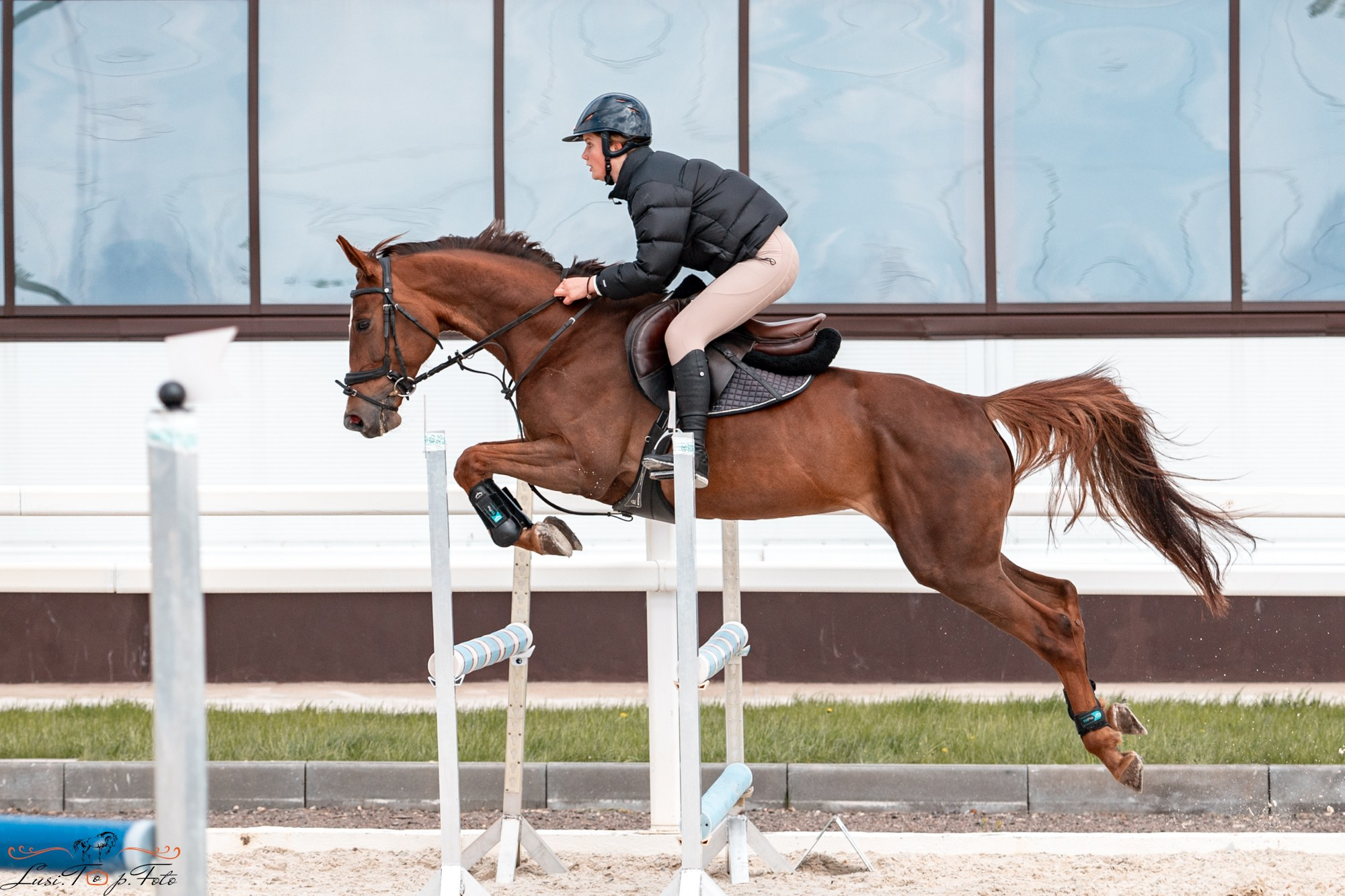 Кубок Победы конного Клуба EQUIPARK по конкуру. Конный и фотограф с животными в Твери Топталова Люся