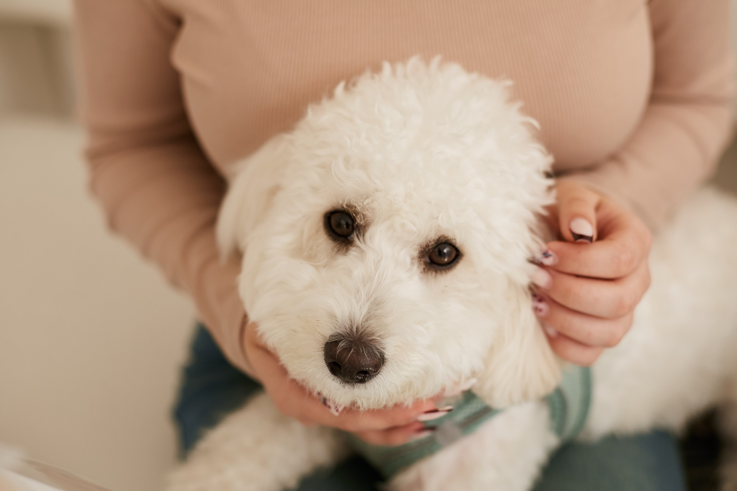 «Капля кофе». Свадебный и креативный фотограф в ЮФО