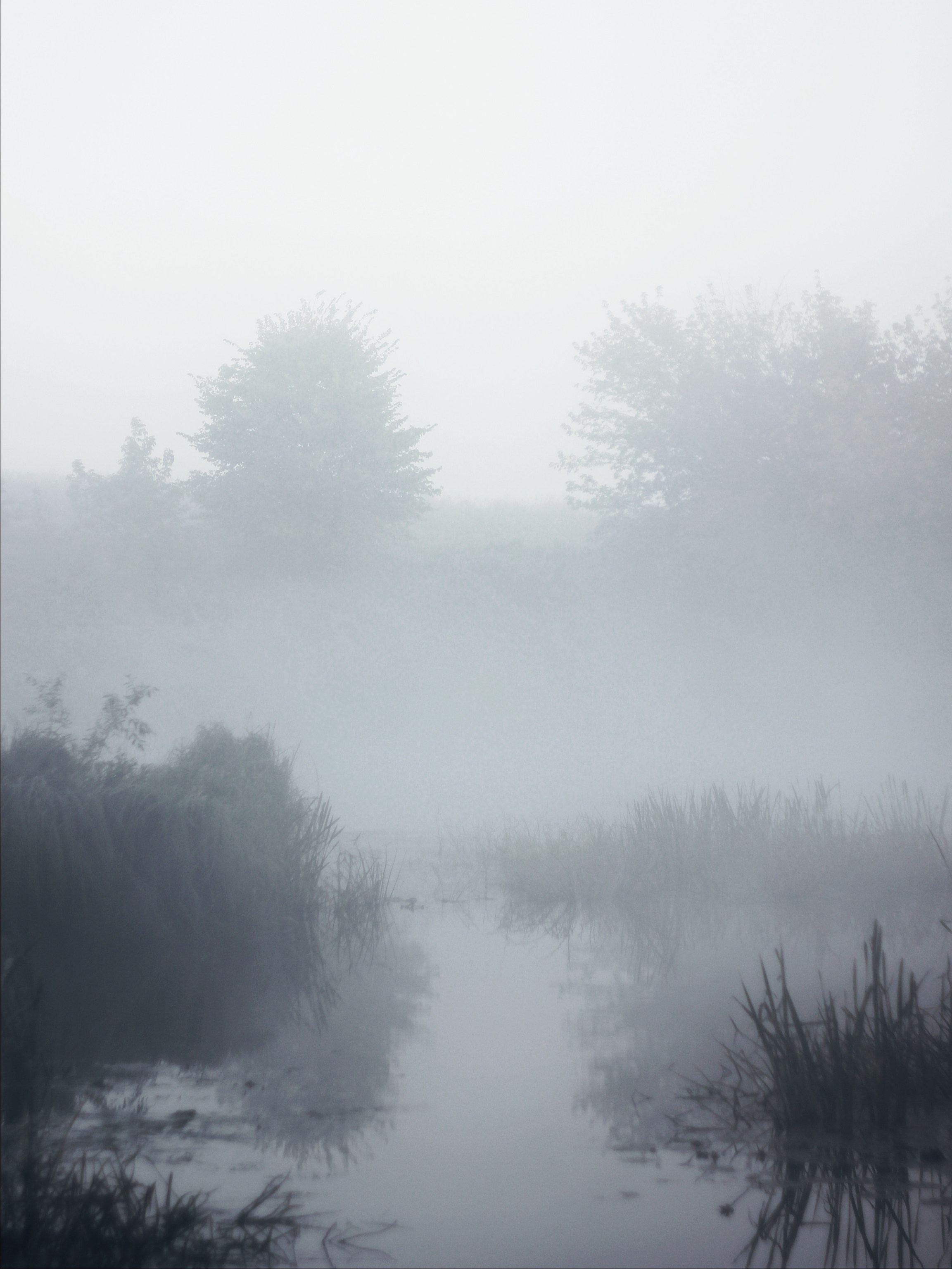 Опустошенность. С любовью, фотохудожник