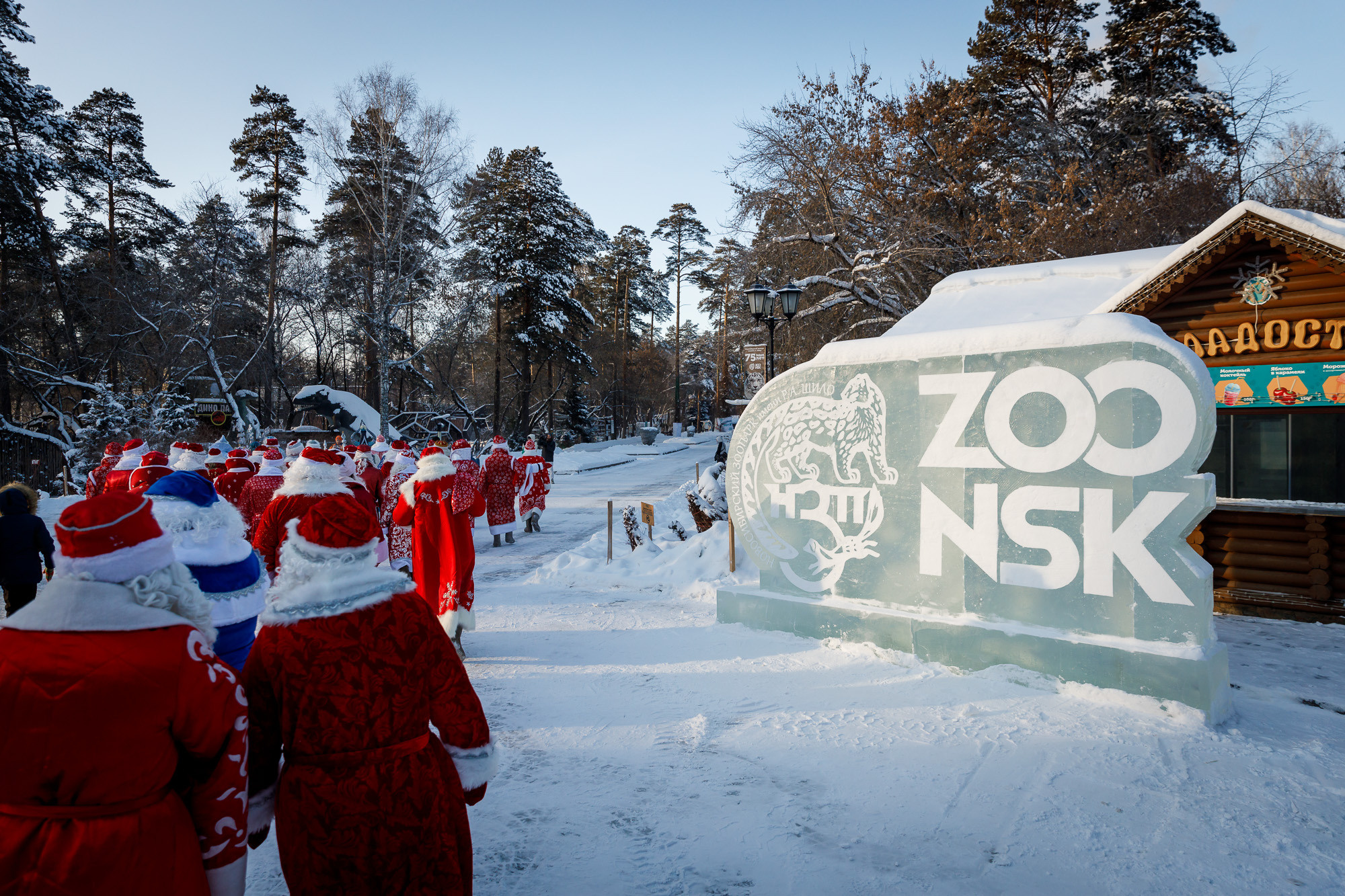 Репортаж. Главная