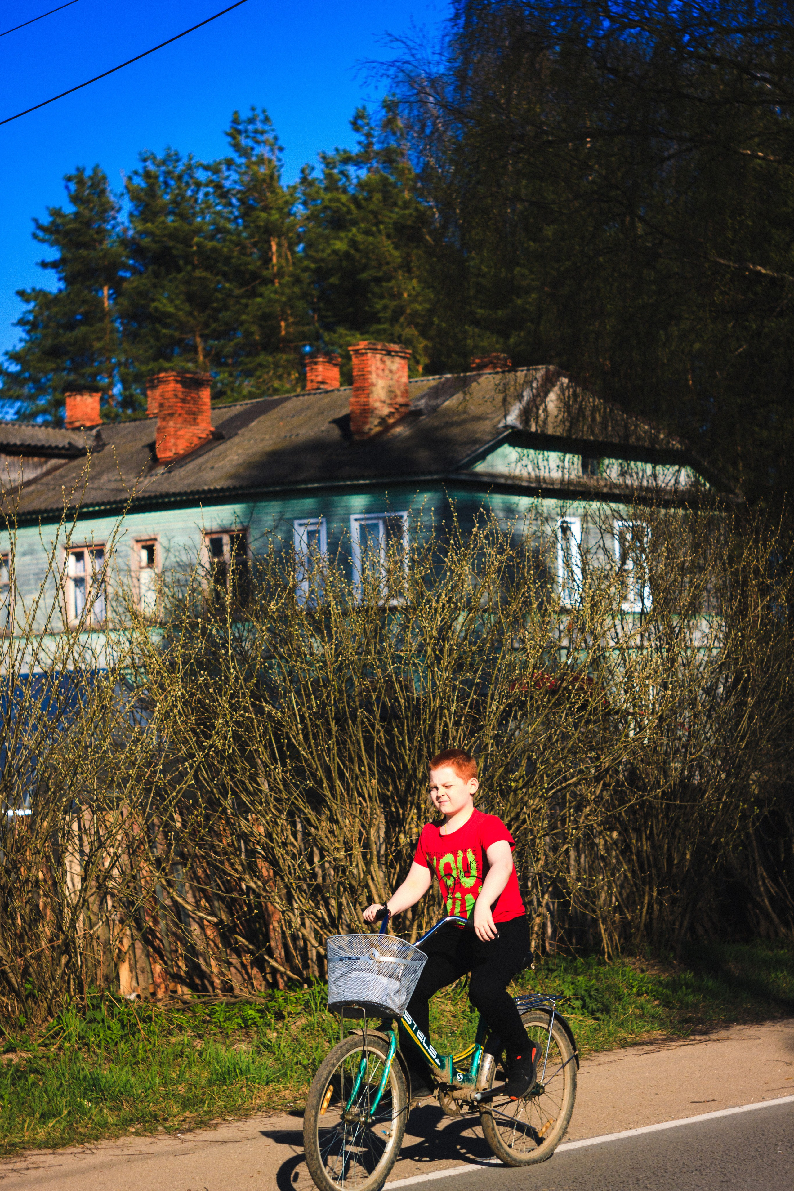 Strawberry. Den Mirov — Photographer, Musician