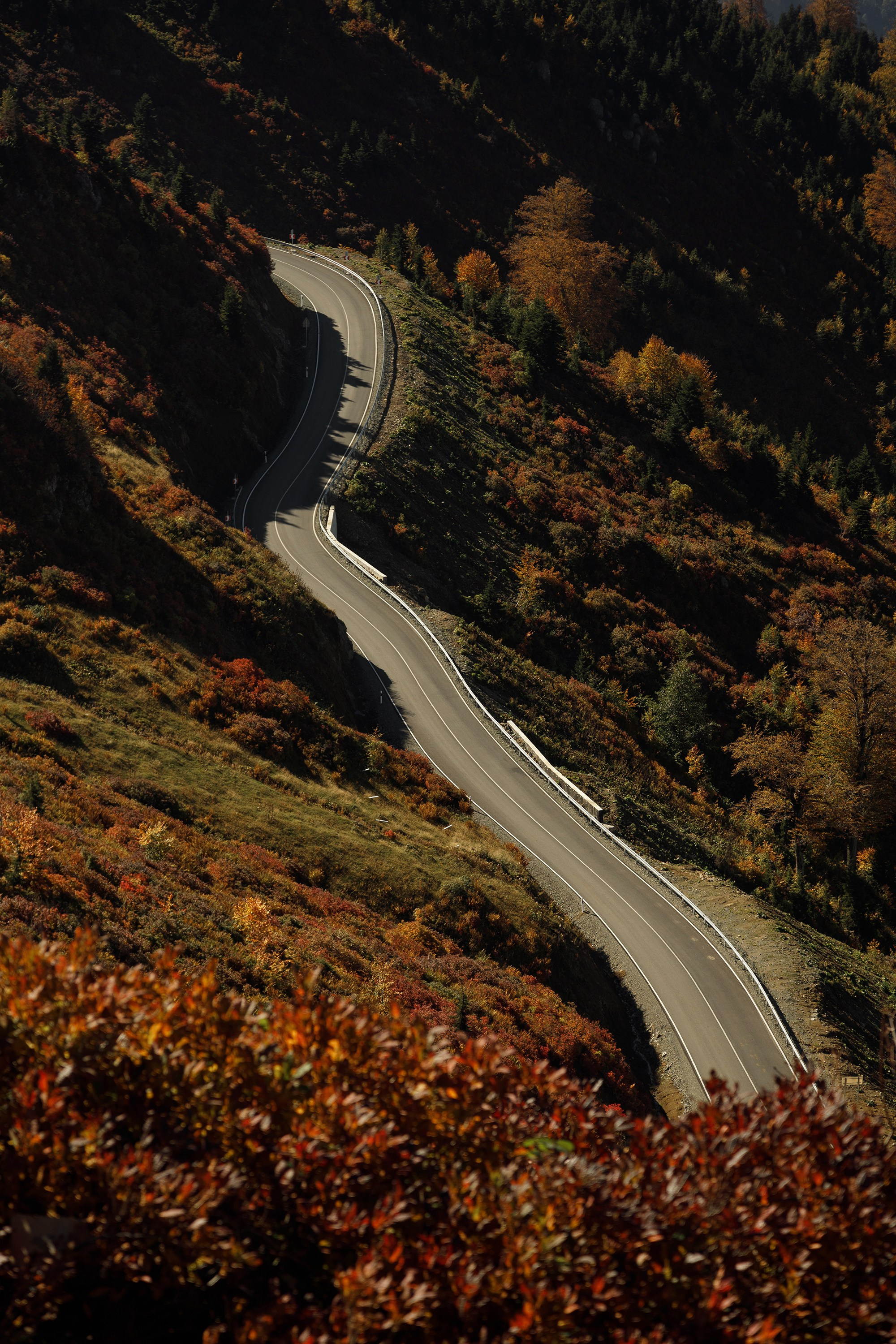 Classic Wedding presets