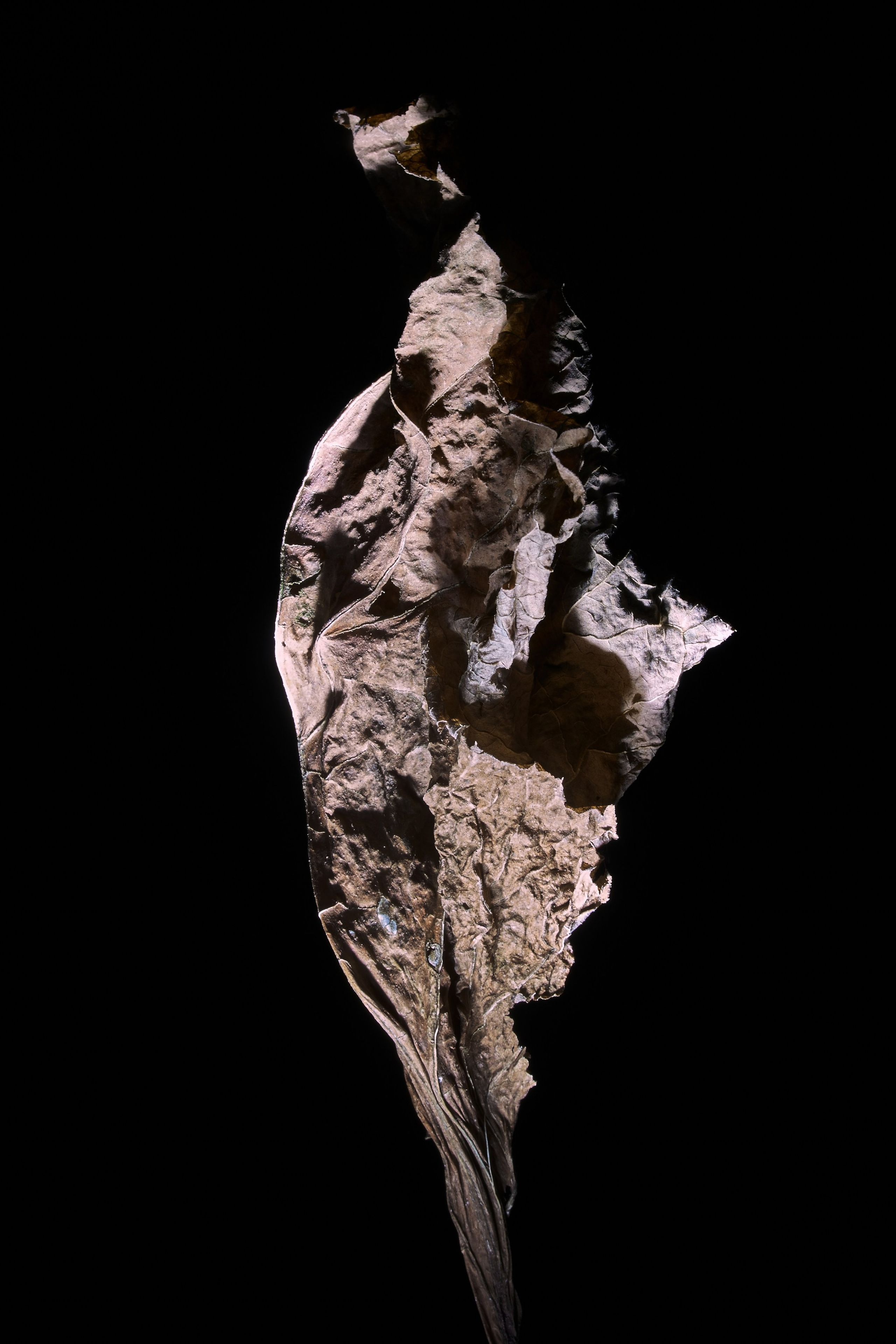 «Тебе кажется…?». Арт-фотограф во Владивостоке Дмитрий Осипчук