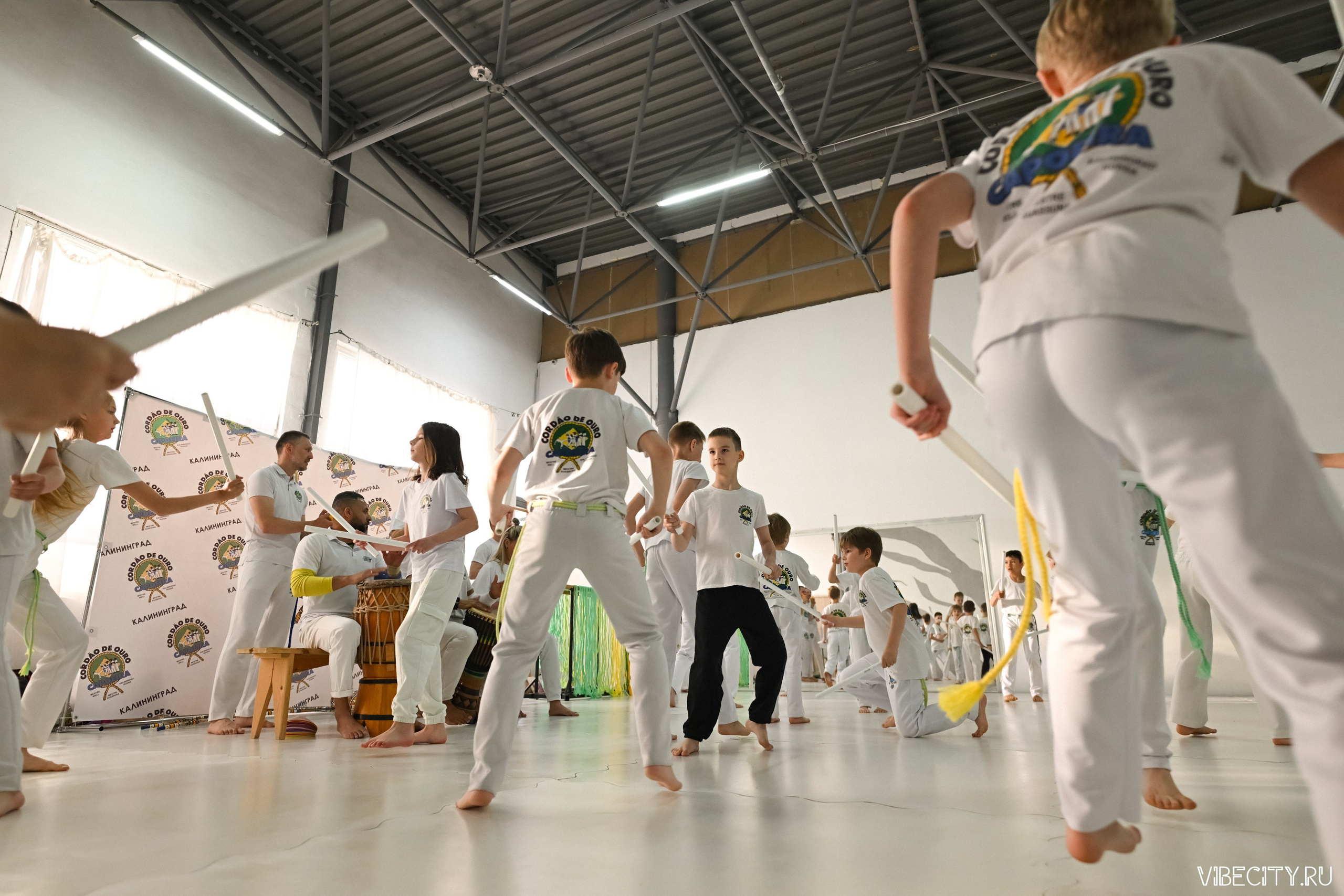 Capoeira: 4-е batizado e Troca de cordao. VIBECITY.RU Вайб Сити Ру Фоторепортажи Фотоотчеты Калининград