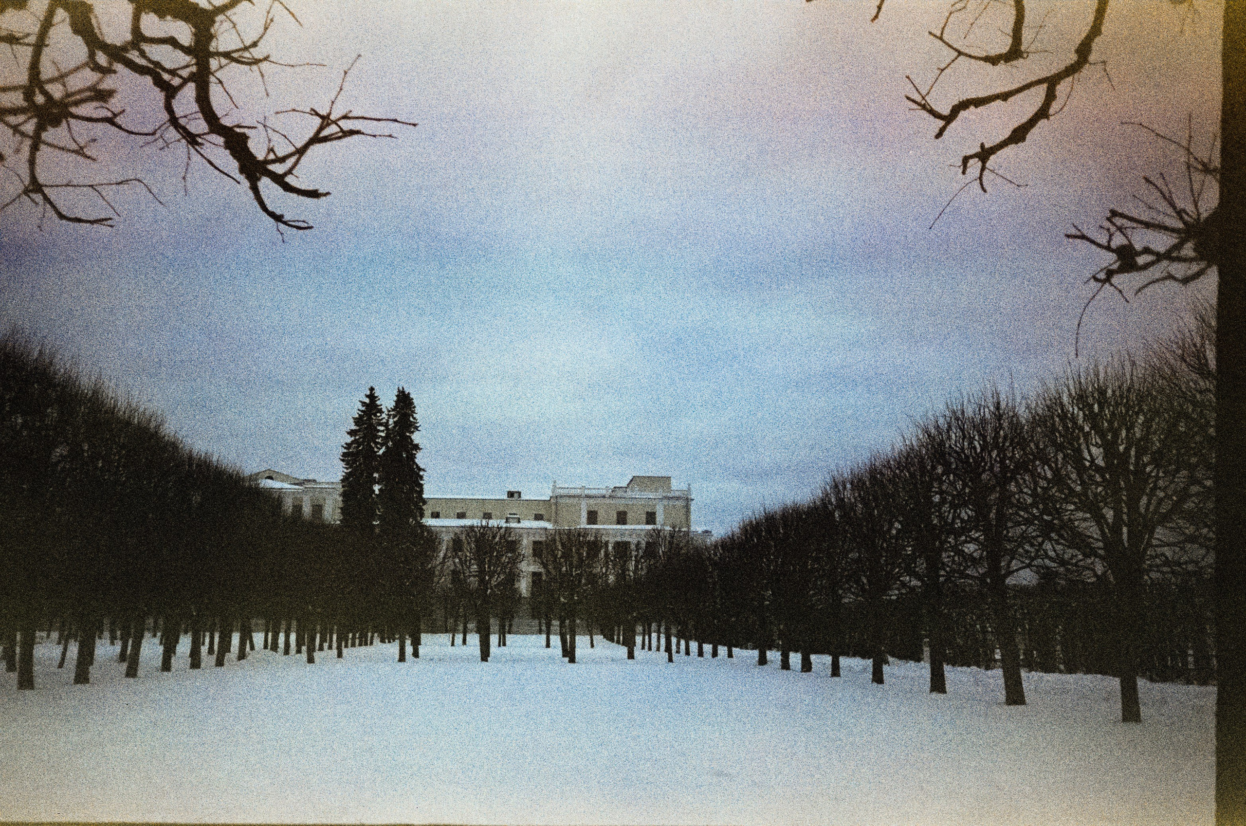 Fujicolor Superia 200 (просрочка) / Cosina CX-1 / 6 января 2025 года Усадьба Архангельское