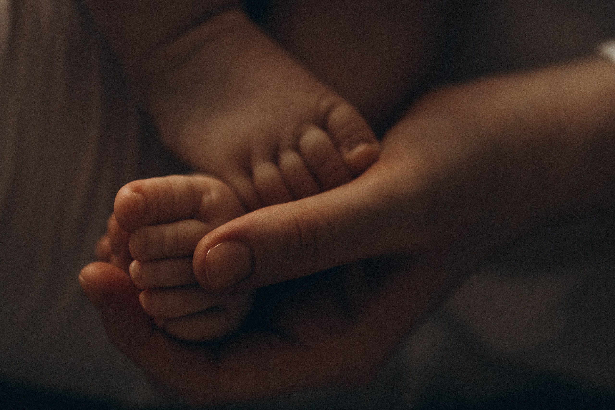 Услуги. Фотокарточки о вас и о большой любви!