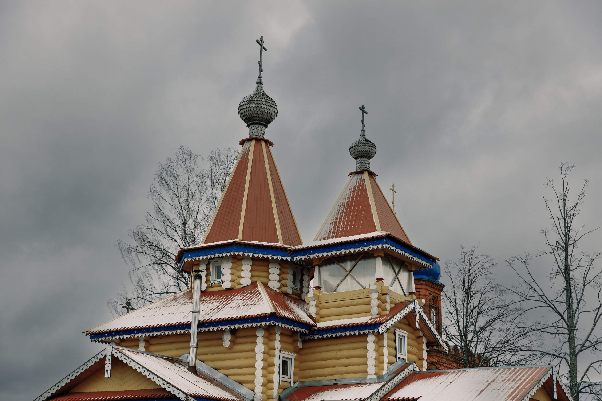 Вербное воскресенье. Фотограф Виталий Верескун. Козельск-Калуга