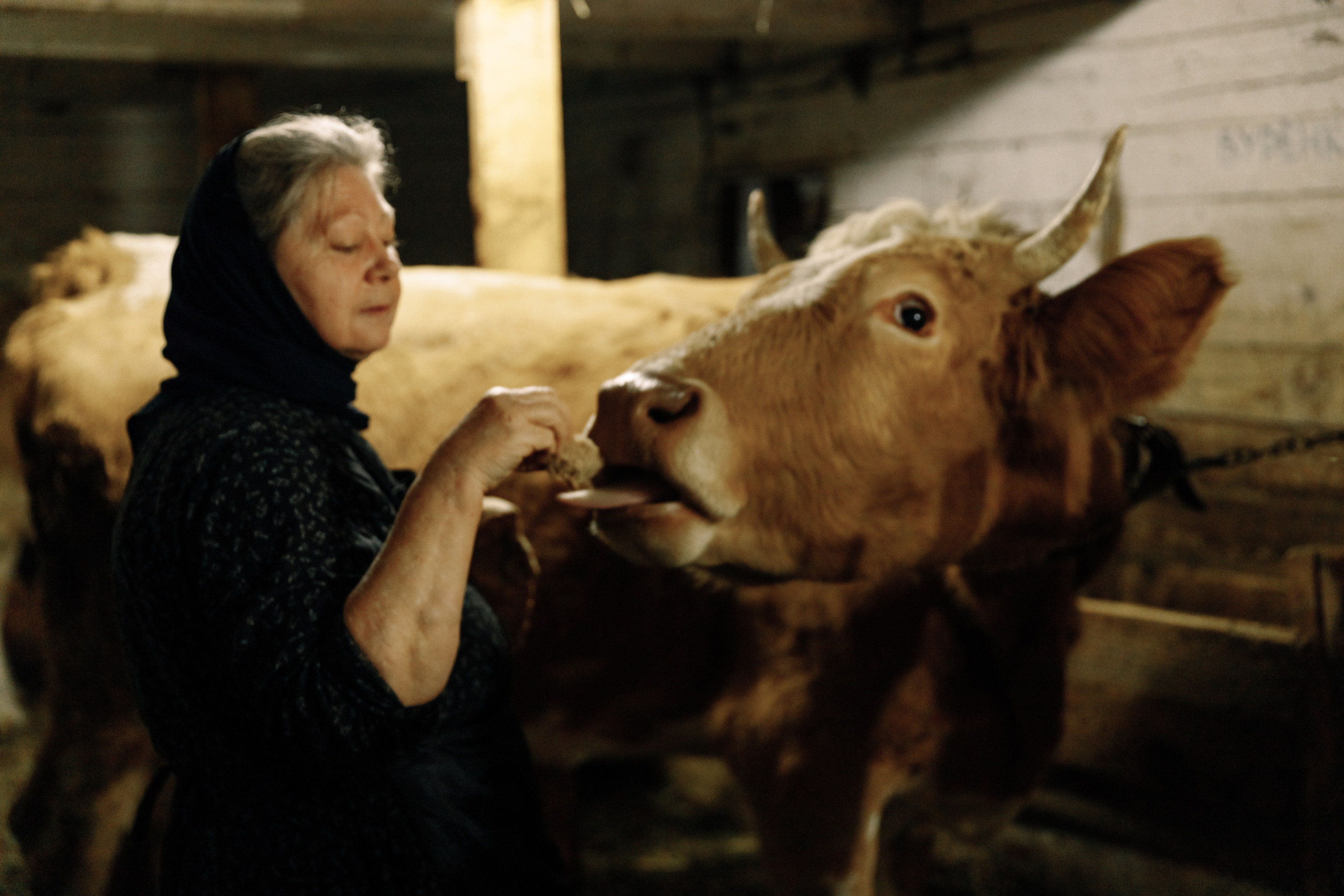 Вербное воскресенье. Фотограф Виталий Верескун. Козельск-Калуга