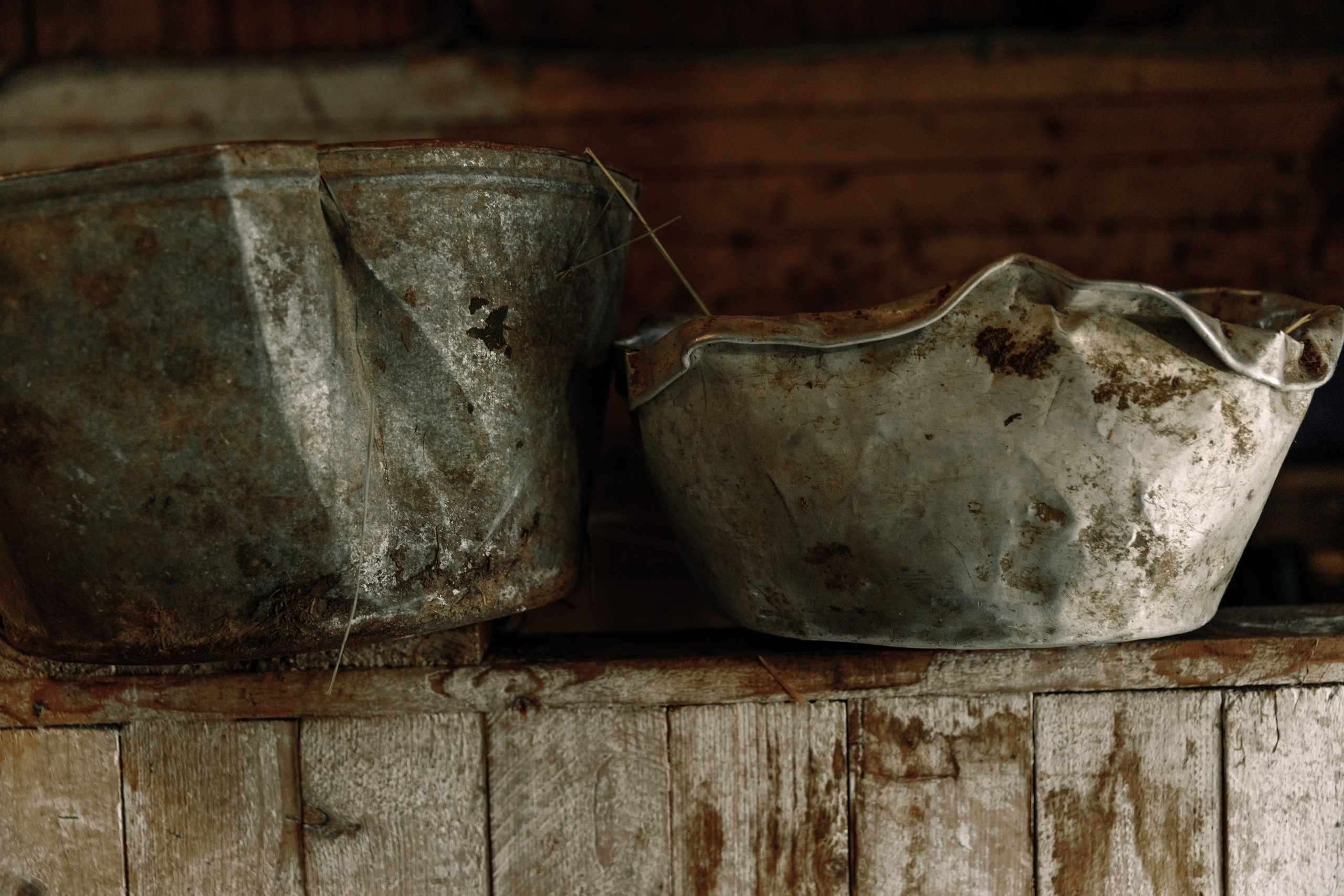 Вербное воскресенье. Фотограф Виталий Верескун. Козельск-Калуга