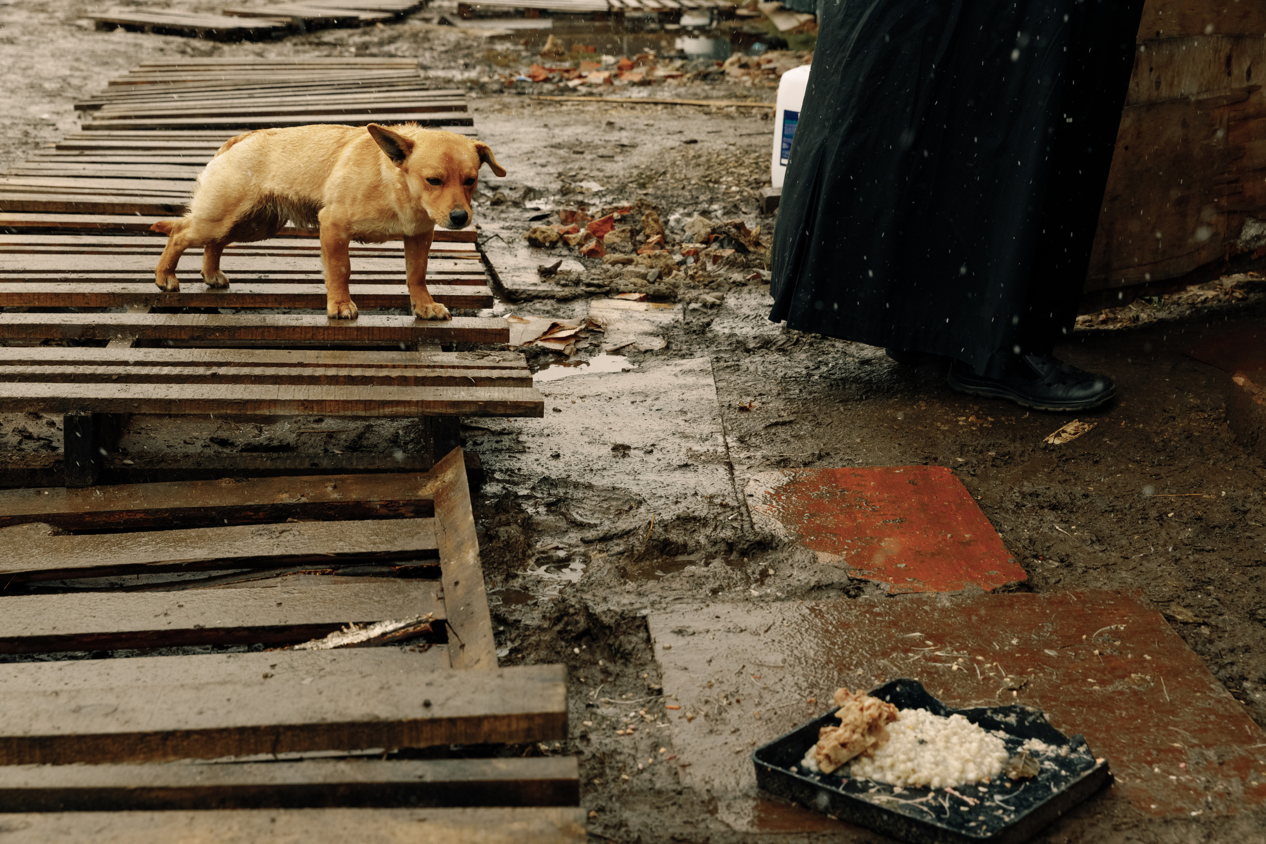 Вербное воскресенье. Фотограф Виталий Верескун. Козельск-Калуга