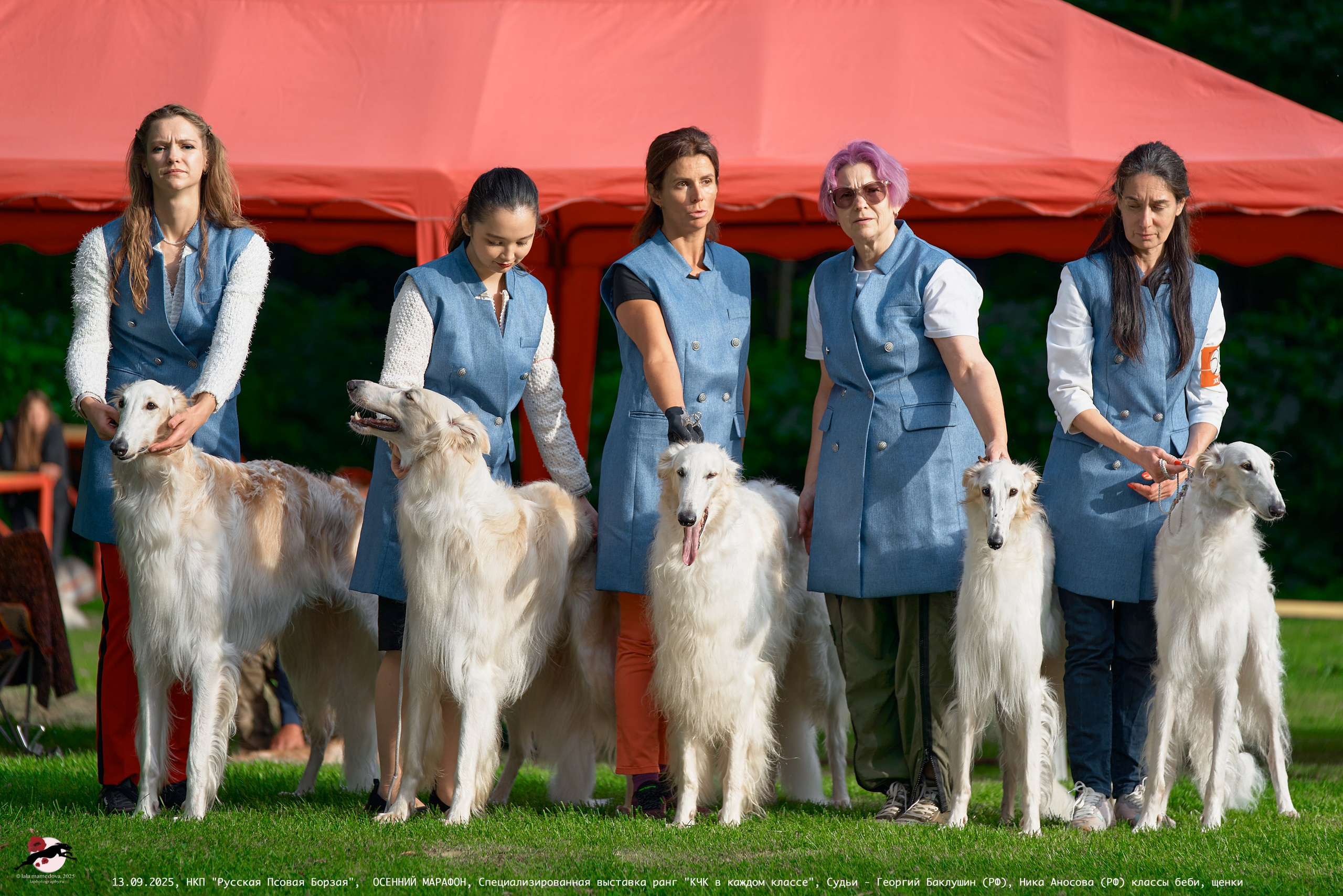 ОСЕННИЙ МАРАФОН | Специализированная выставка породы Русская Псовая Борзая ранг "КЧК в каждом классе"