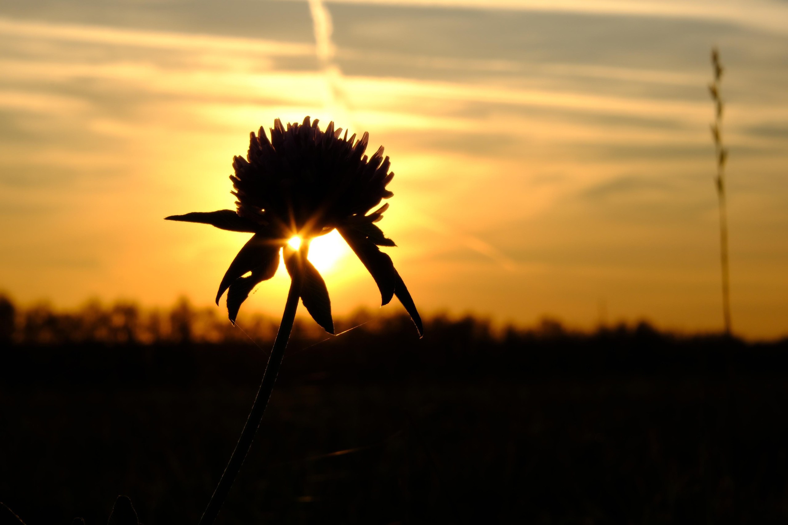 ANTONOVLABEL — Art & Handmade