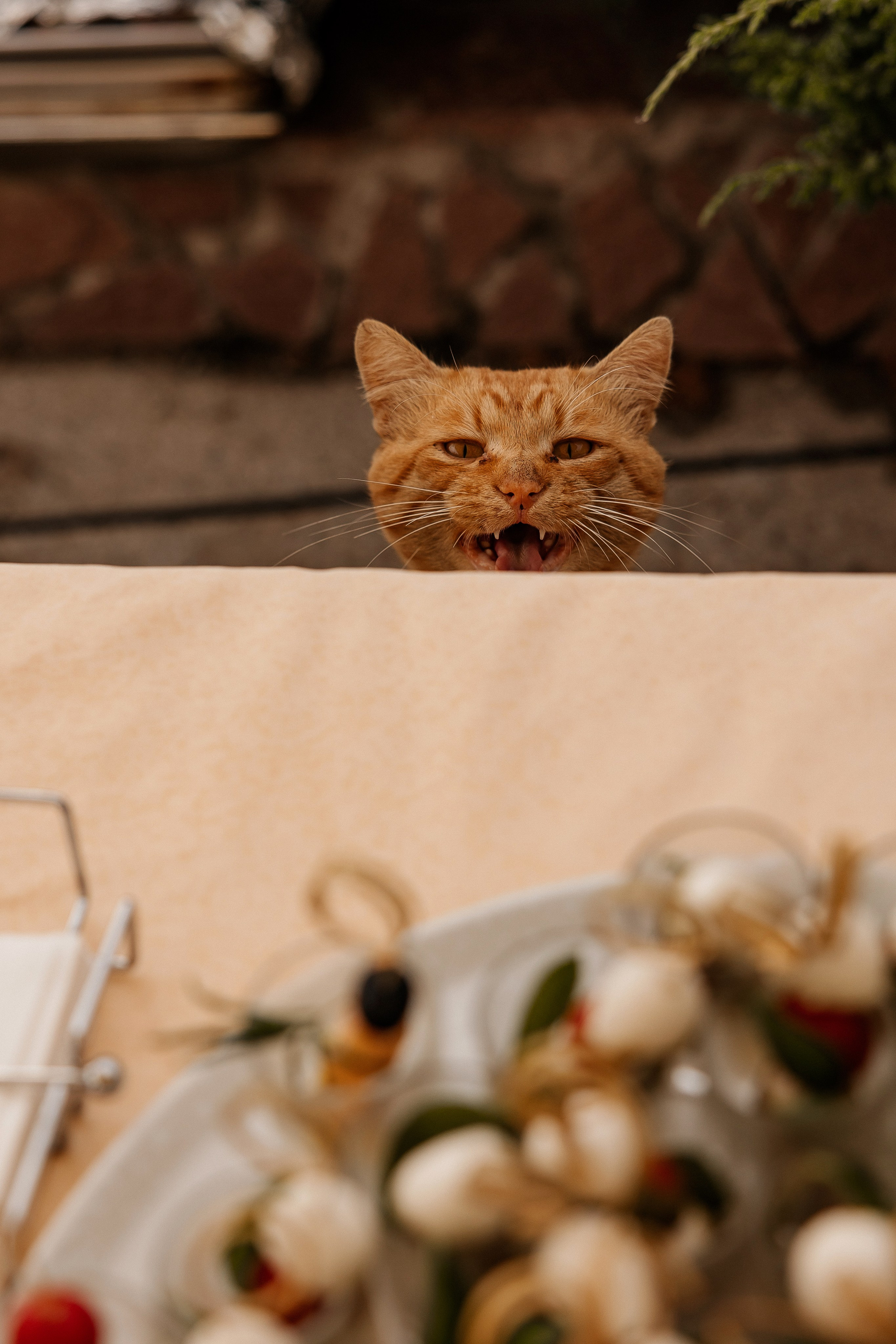 СВАДЕБНЫЙ ФОТОГРАФ НАТАЛИКА