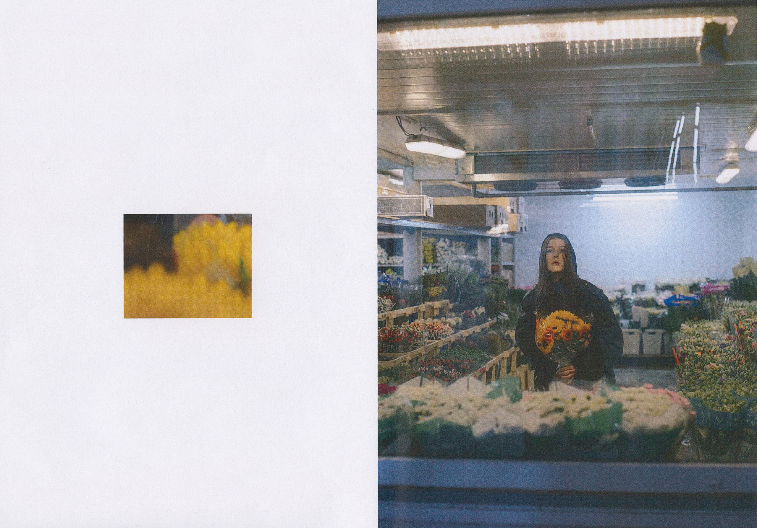 Зин Q. Фотограф и коллажист Ольга Шереметьева