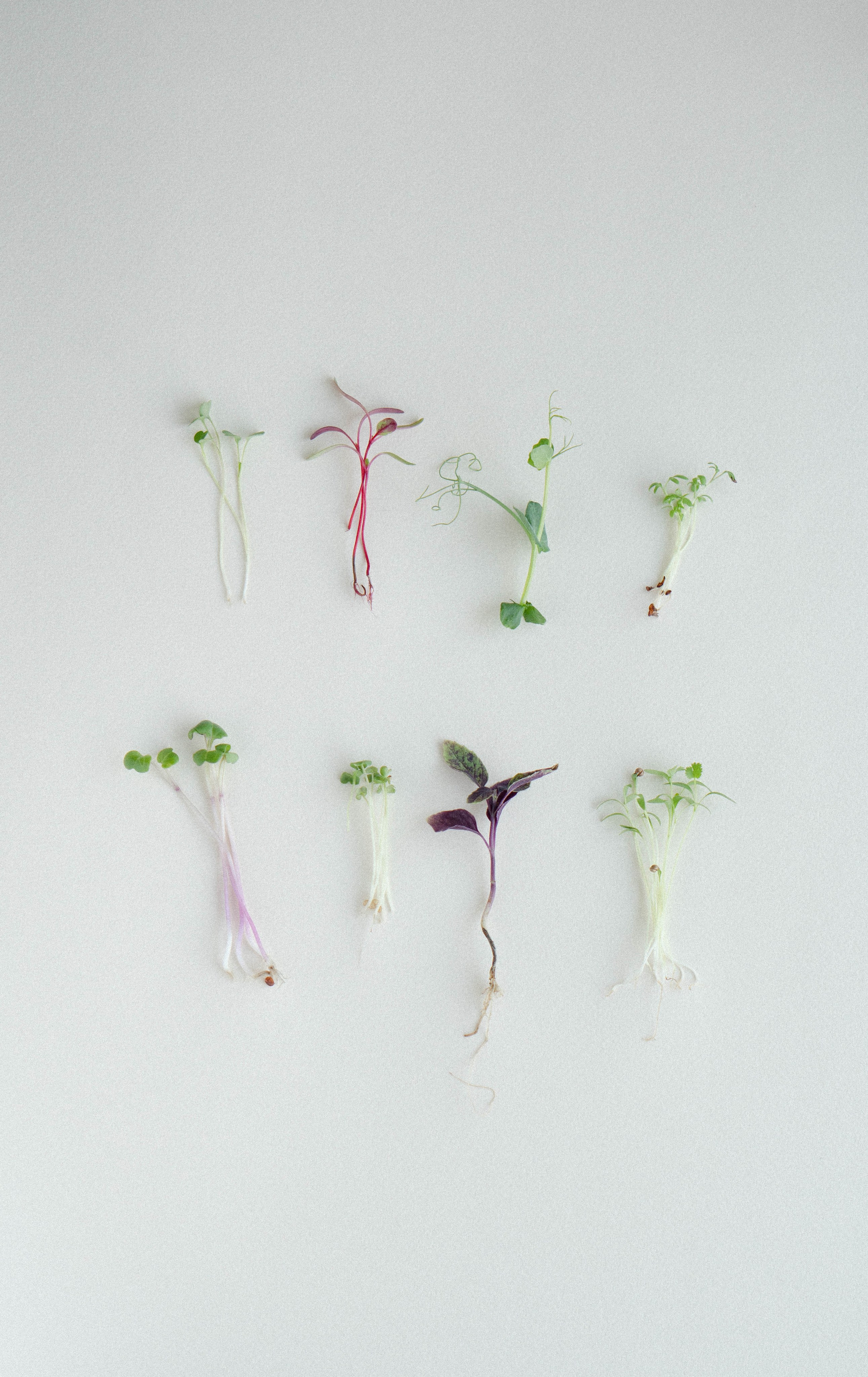 Предметная съемка. Видеограф Зинченко Татьяна г. Пермь