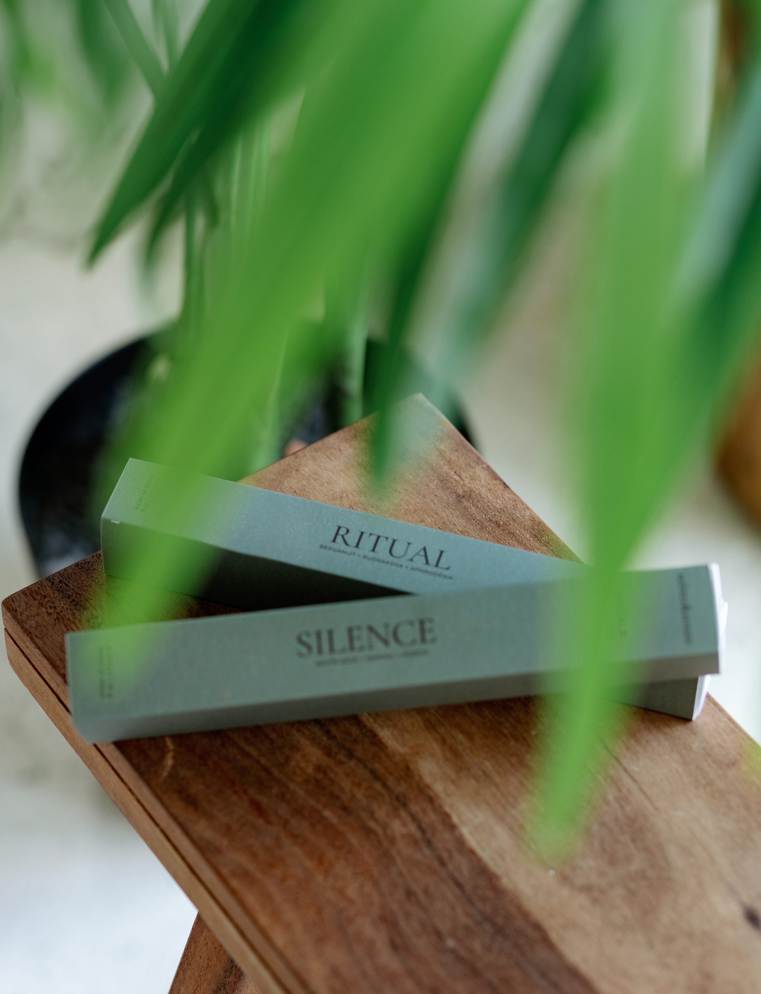 Валерия Вардая | Фотограф | Москва