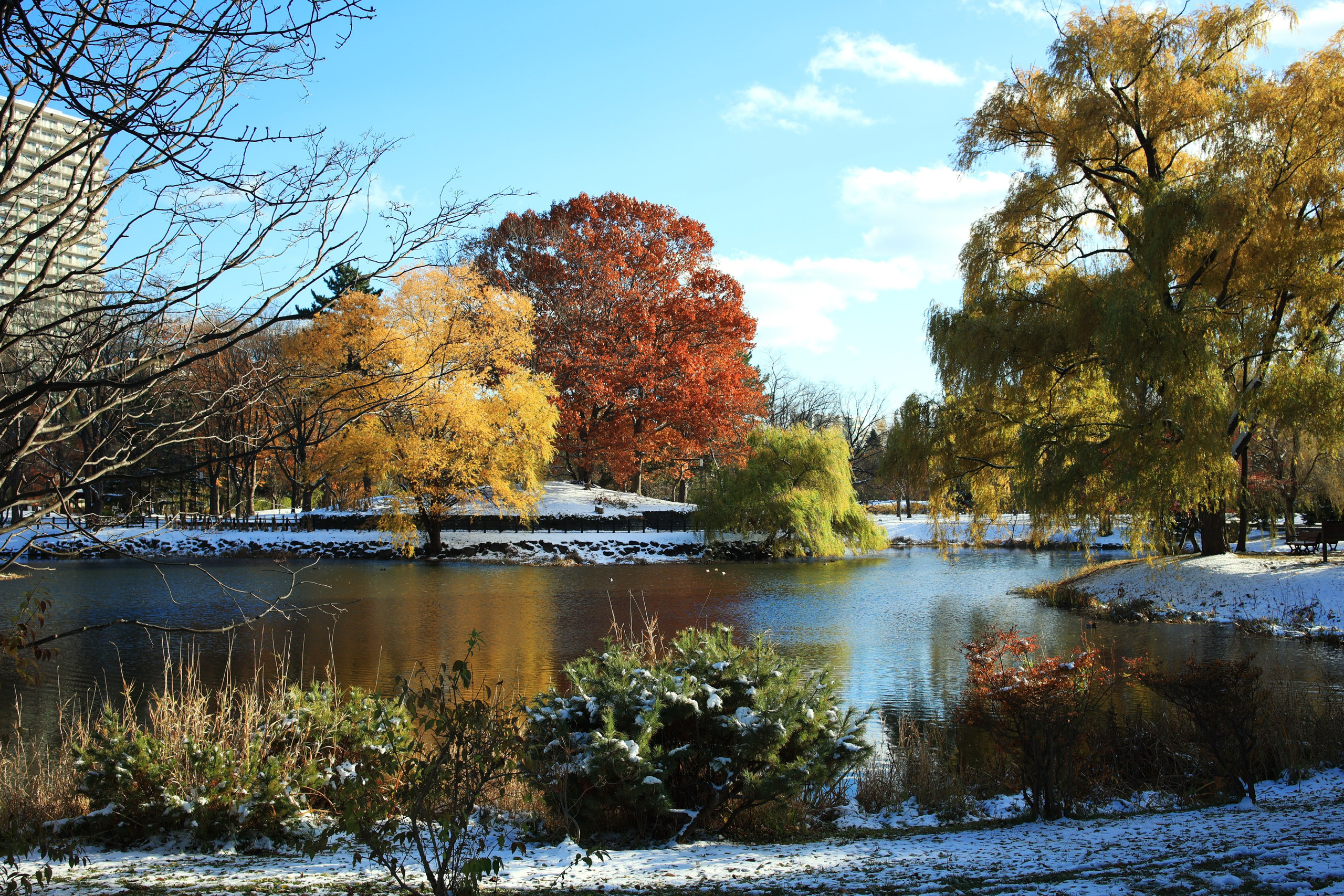 Нюта Арт, фото-видео креатор. Nuta ART - photo-video creator