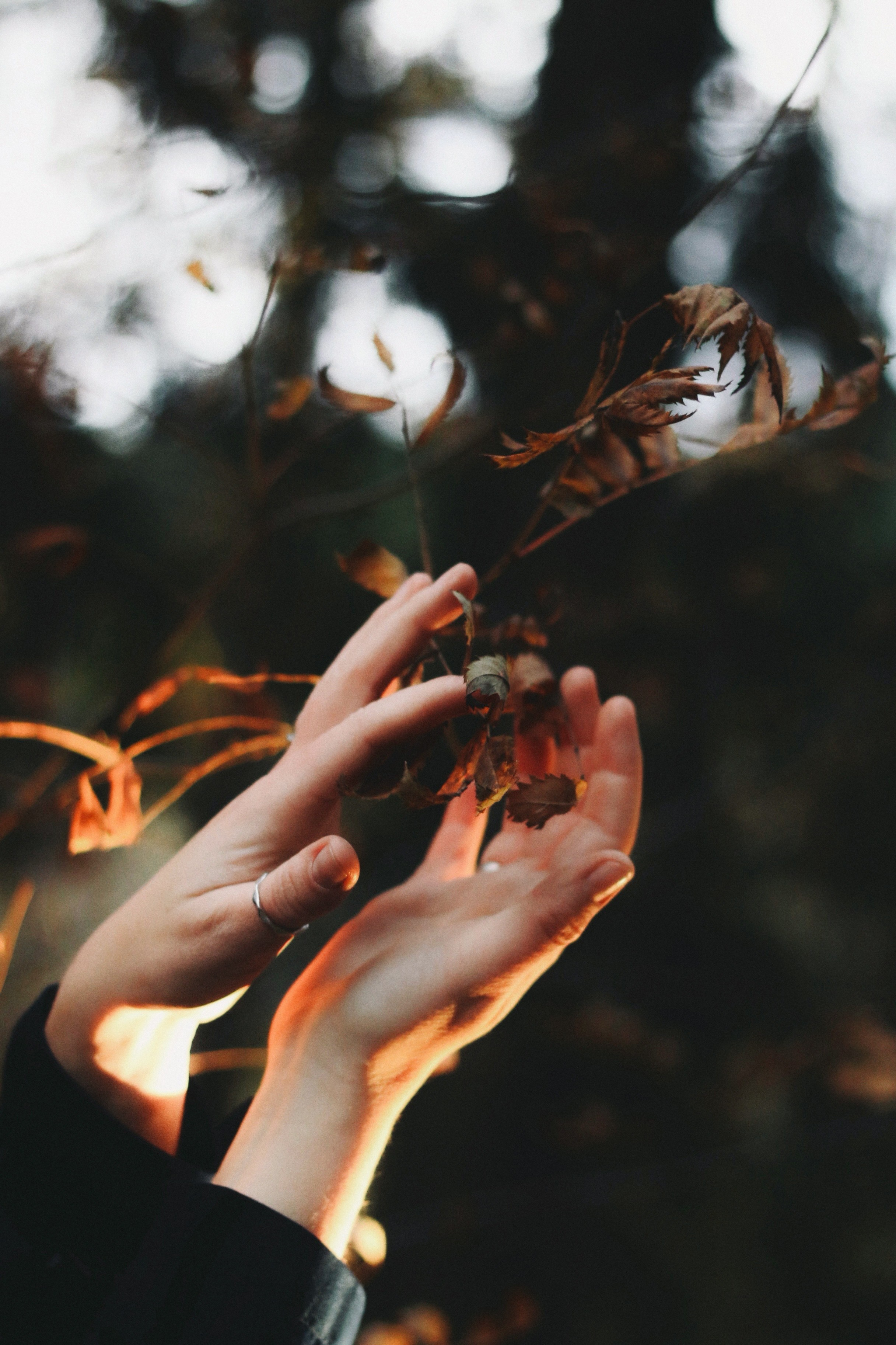 • Ты есть. VITA · visual therapy arts