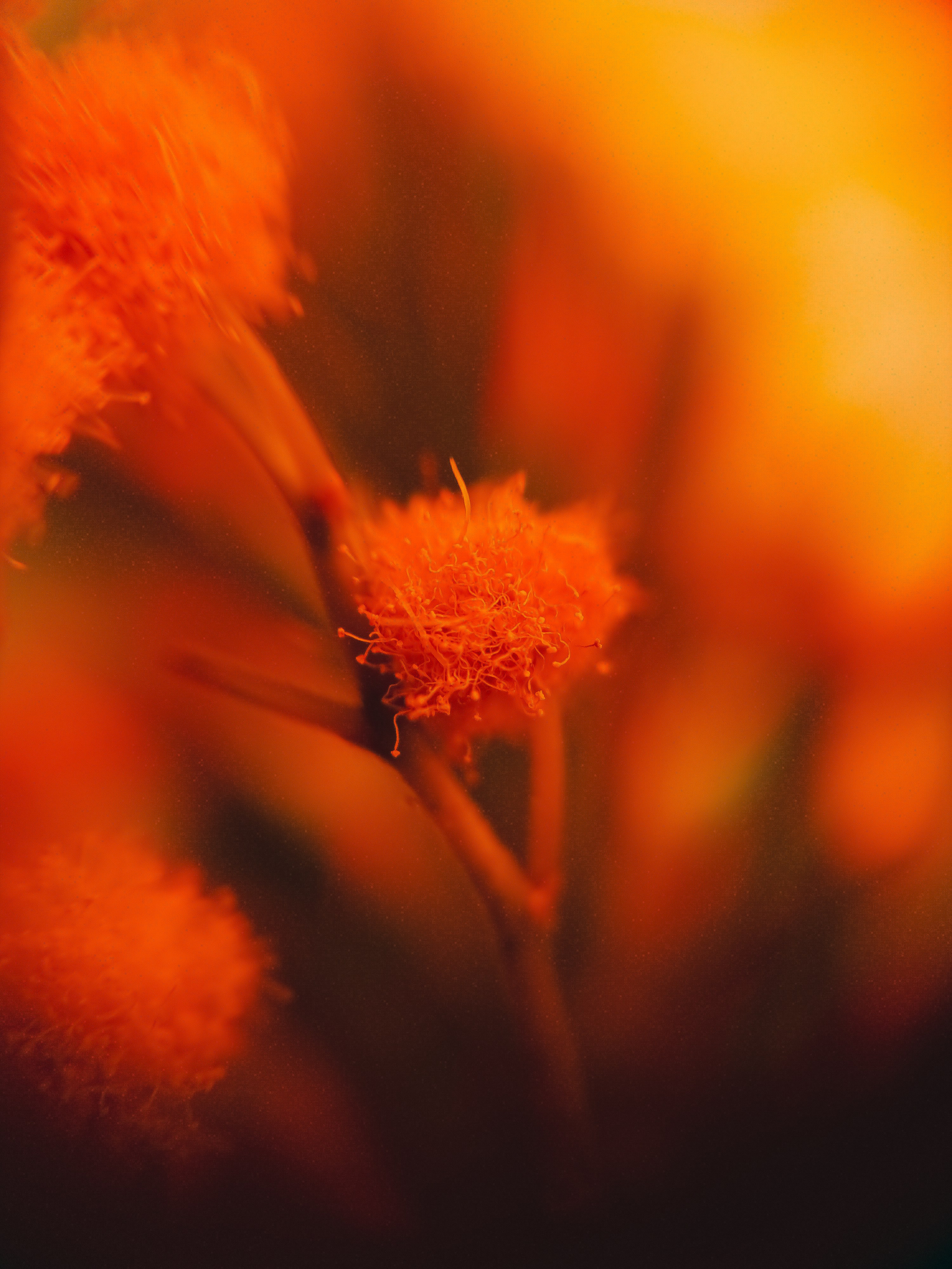 Фотограф из Санкт-Петербурга/Катерина Зайцева