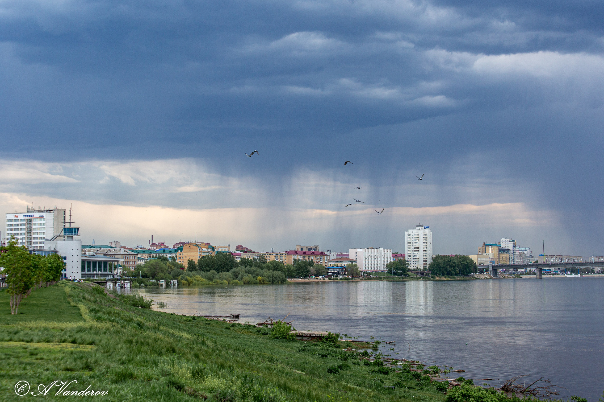Прогулка 22.05.2024. Фотограф Омск | Александр Вандеров