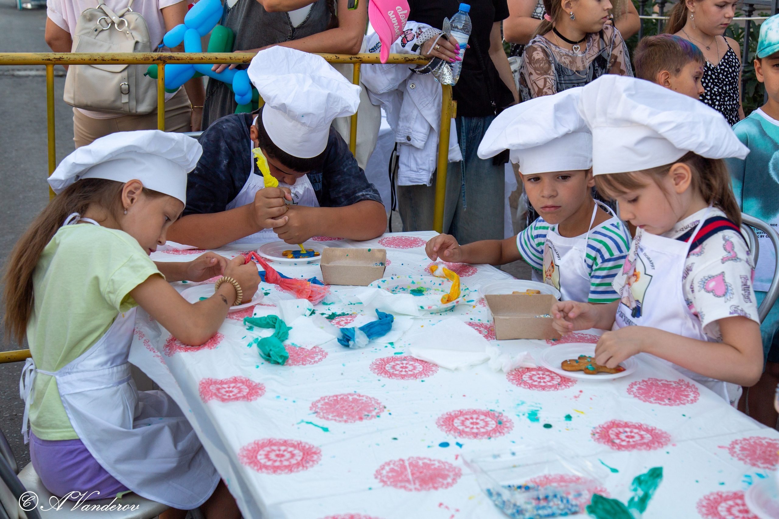 День города 03.08.2024. Фотограф Омск | Александр Вандеров